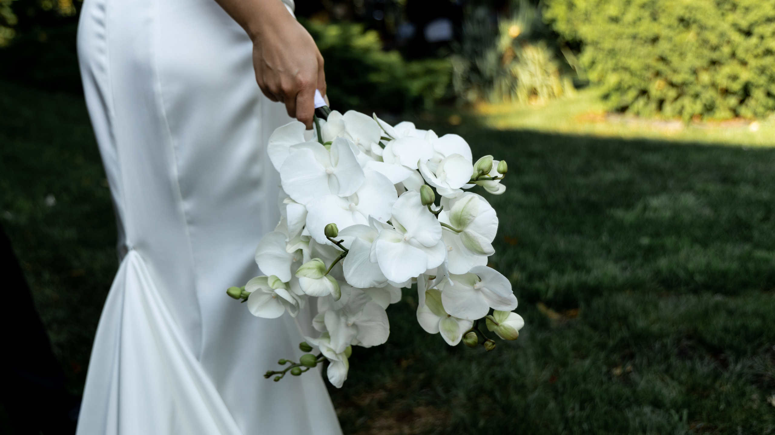 Цитрусовые