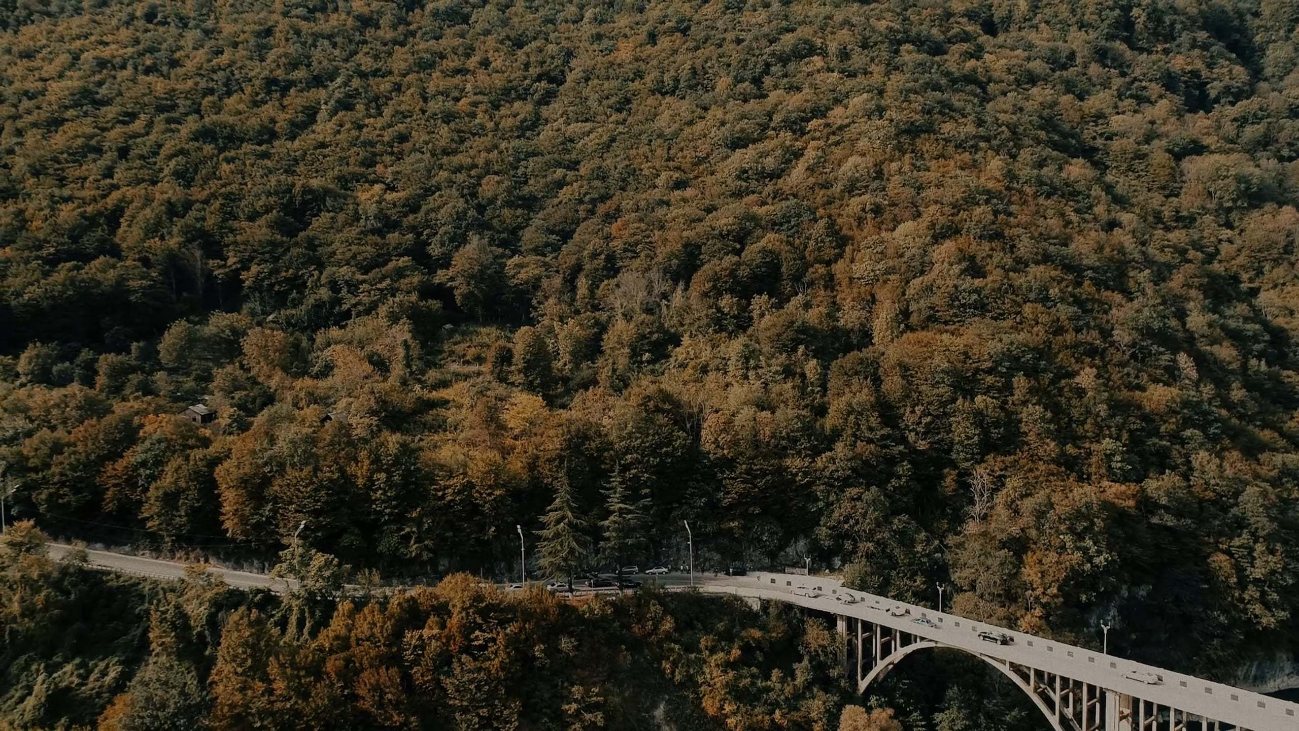 Видеосъемка. Свадебный фотограф Кирилл Зейналов, Туапсе