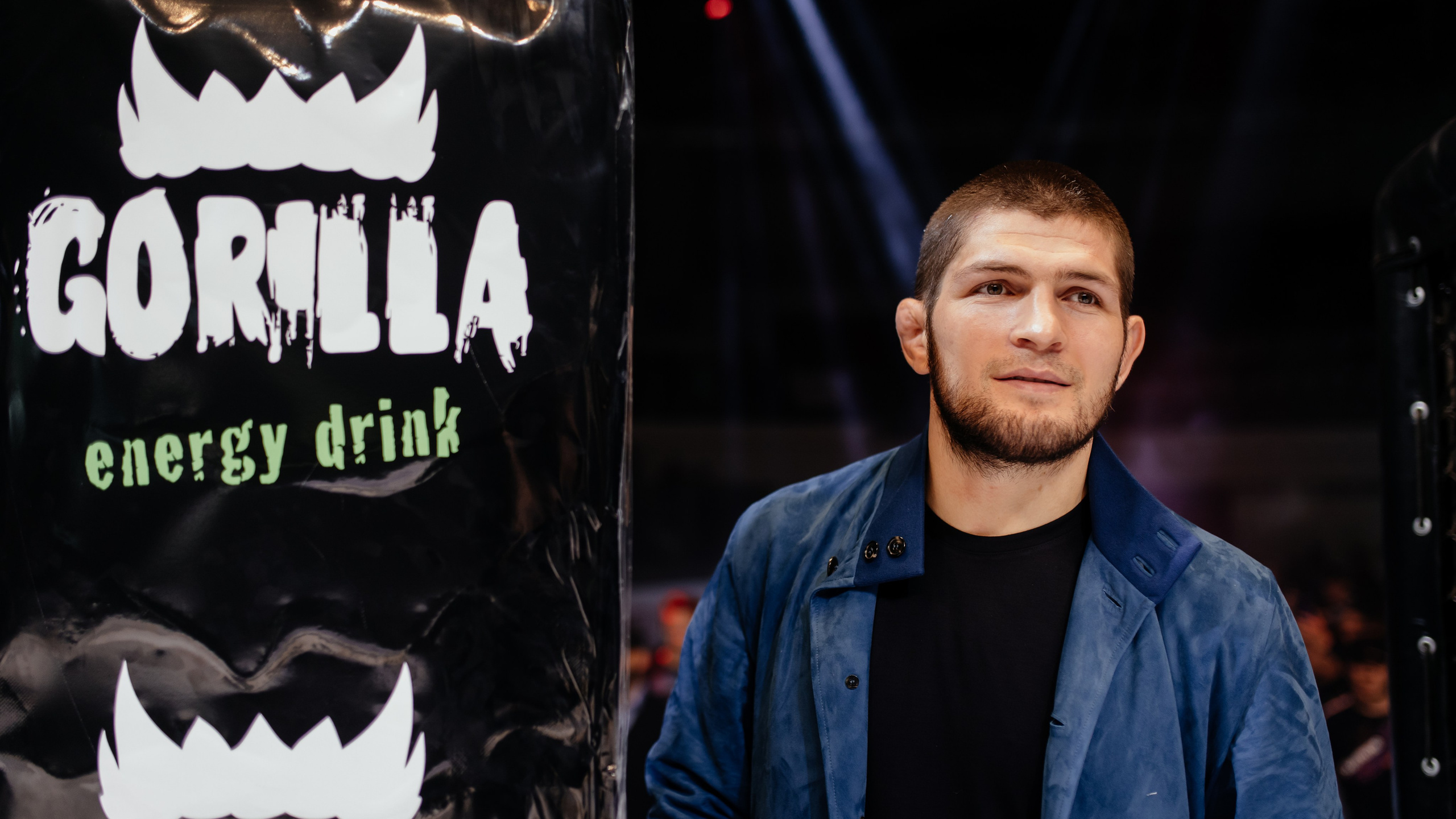 Gorilla Fighting Penza