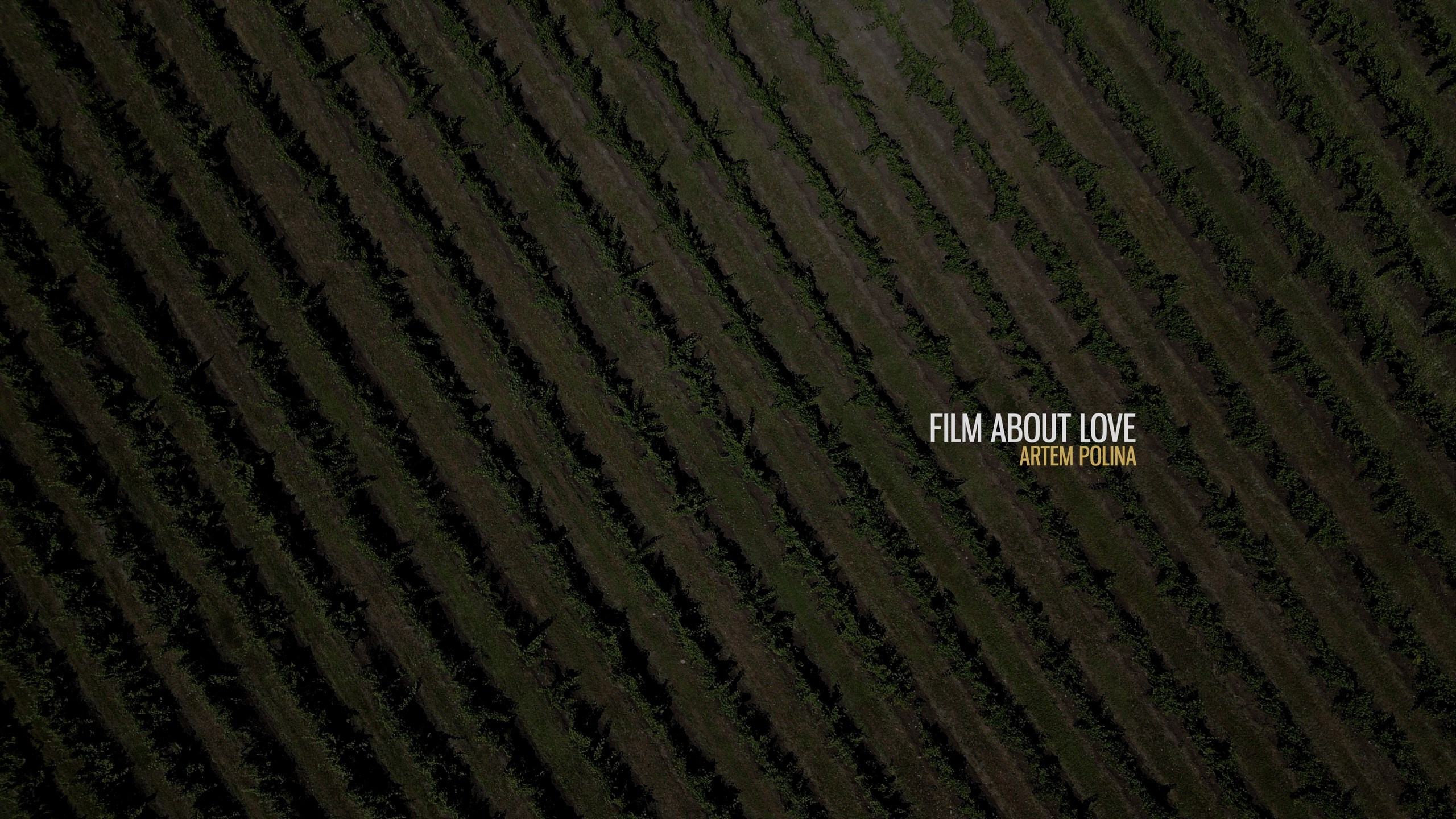 Wedding. Видеограф Андрей Чугунов