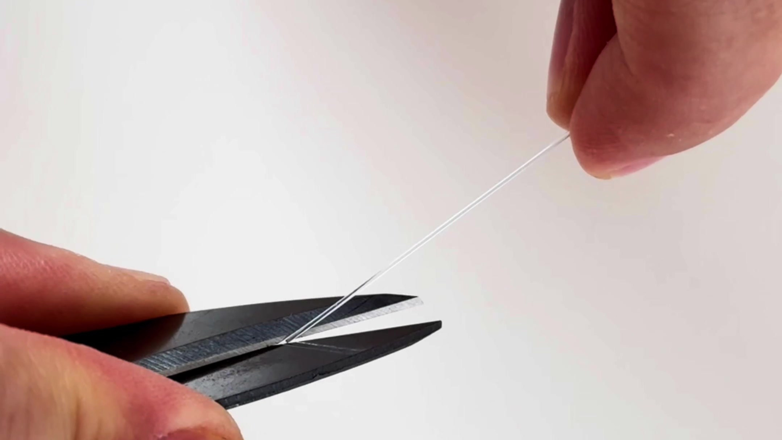 Extravaganza bag. Студия фото, видеографии и мультимедийного дизайна в Москве Multi Frame Studio