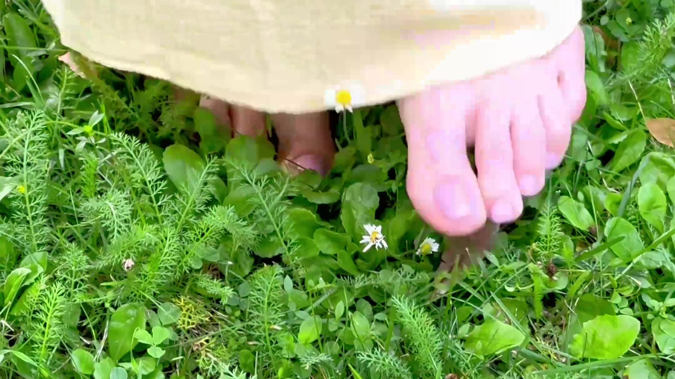 Лавстори. Студия фото, видеографии и мультимедийного дизайна в Москве Multi Frame Studio