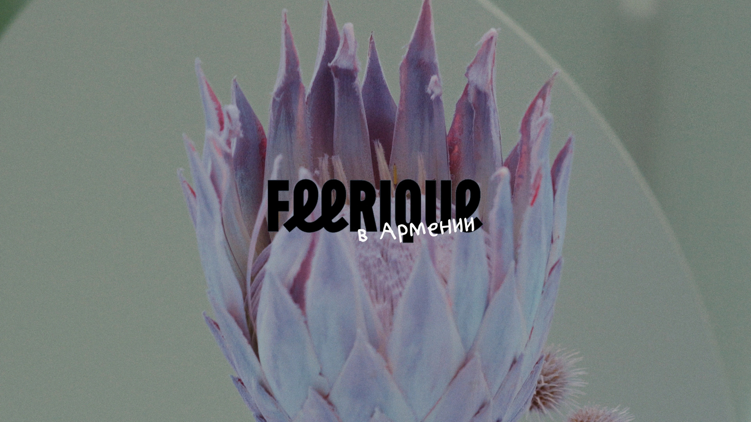 Мои работы. Свадебный видеограф Влад Ерин. Армения | Грузия | Европа |Мир