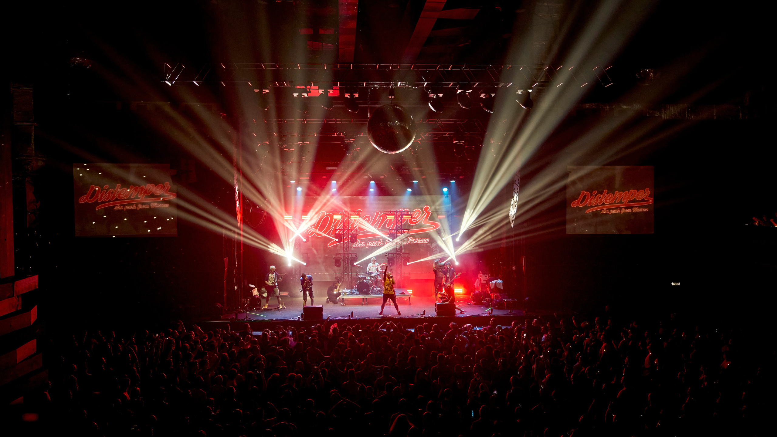 DISTEMPER / BASE/ 23.09.2023