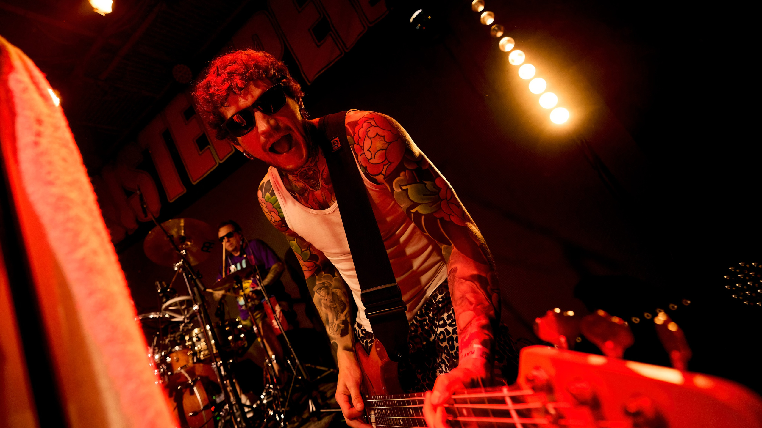 DISTEMPER / AGLOMERAT / 24.11.2023