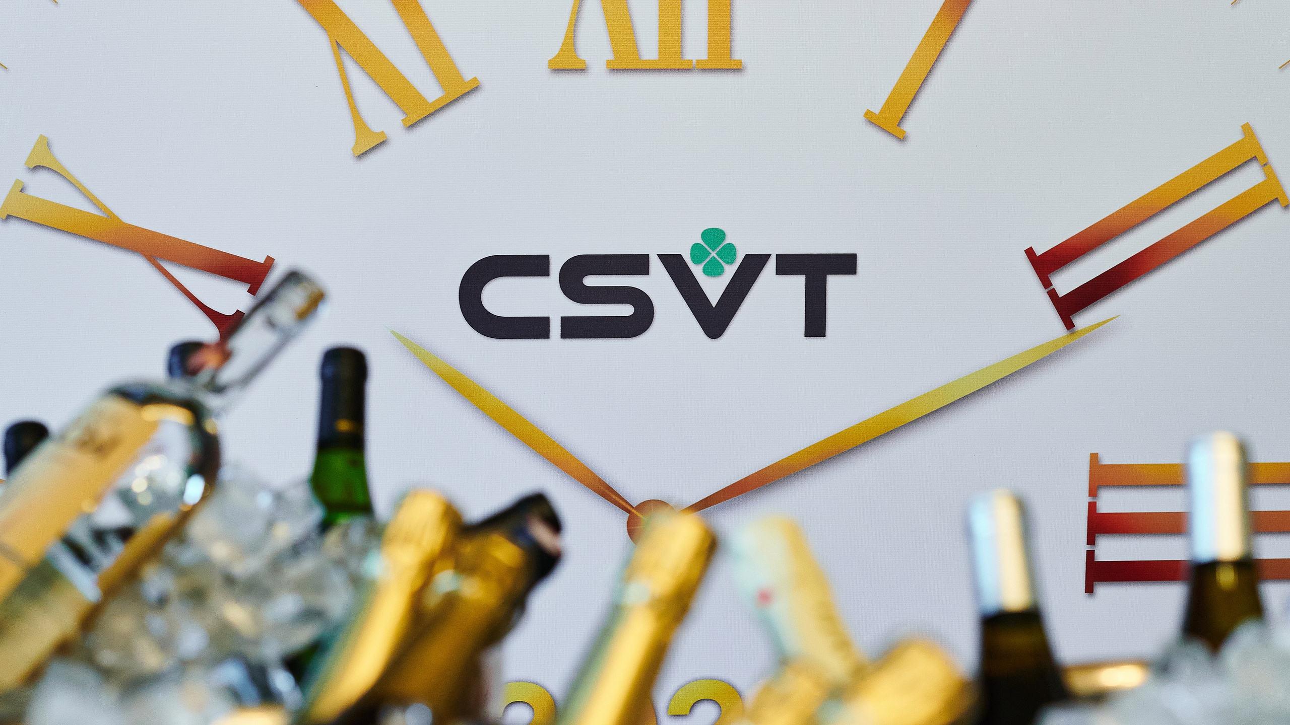 Корпоратив CSVT&nbsp;— 2023