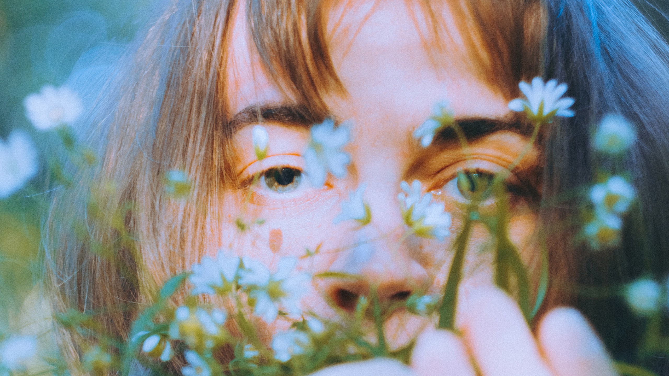 о птицах сказки