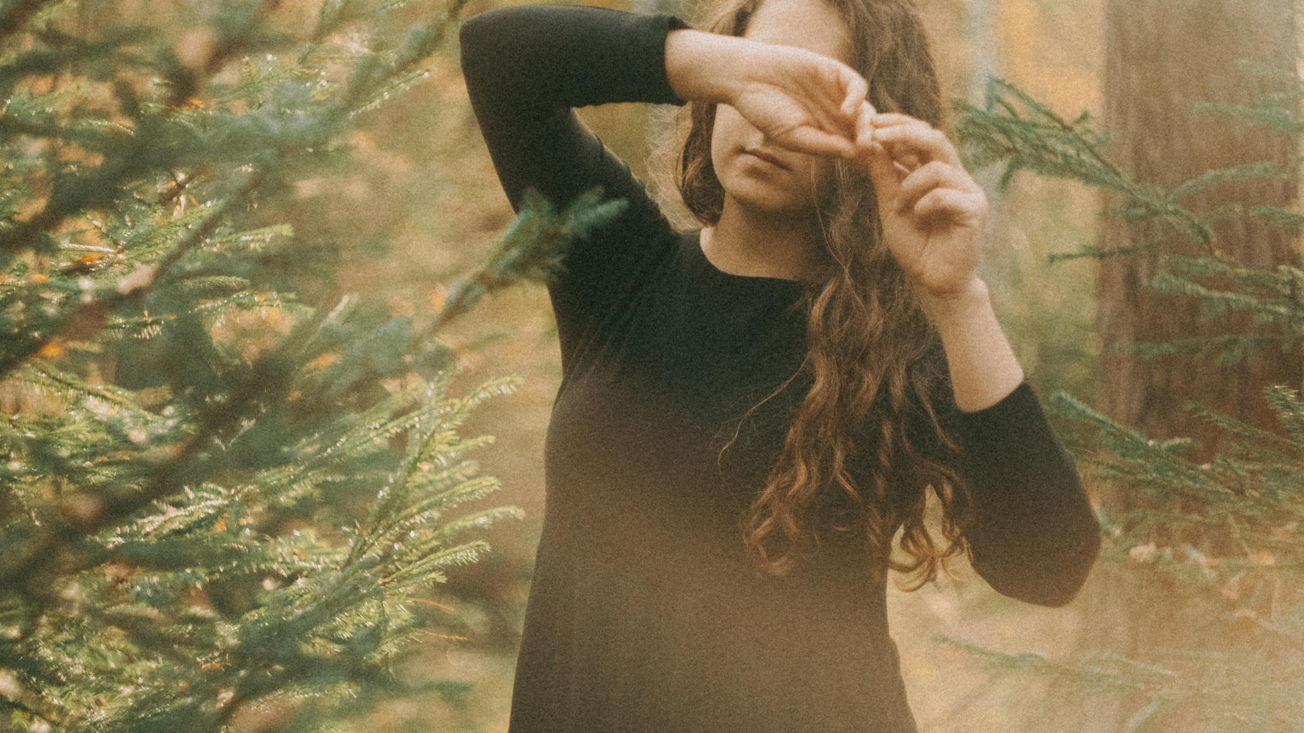 над соснами