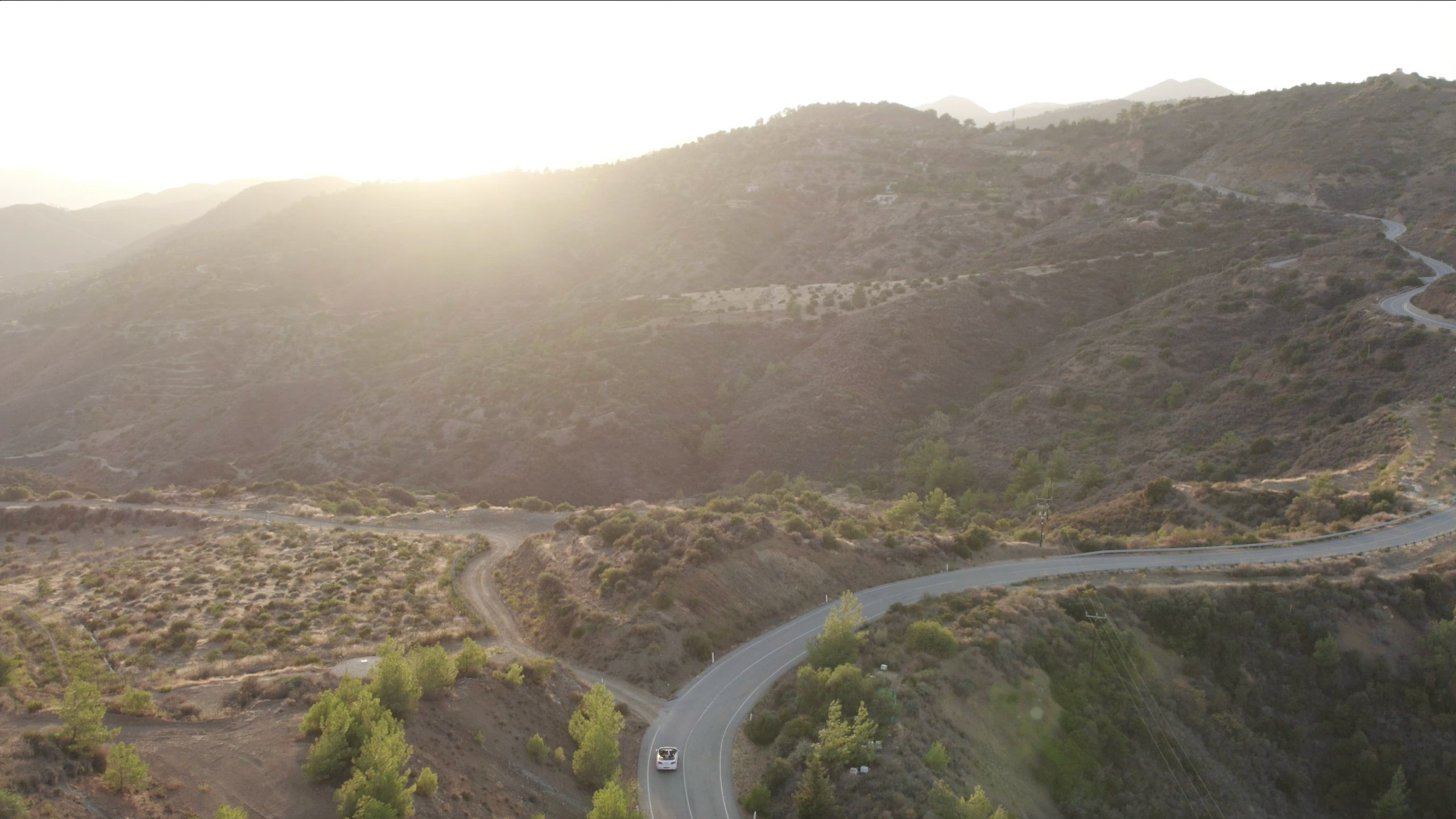 Wedding. Aurora_movie