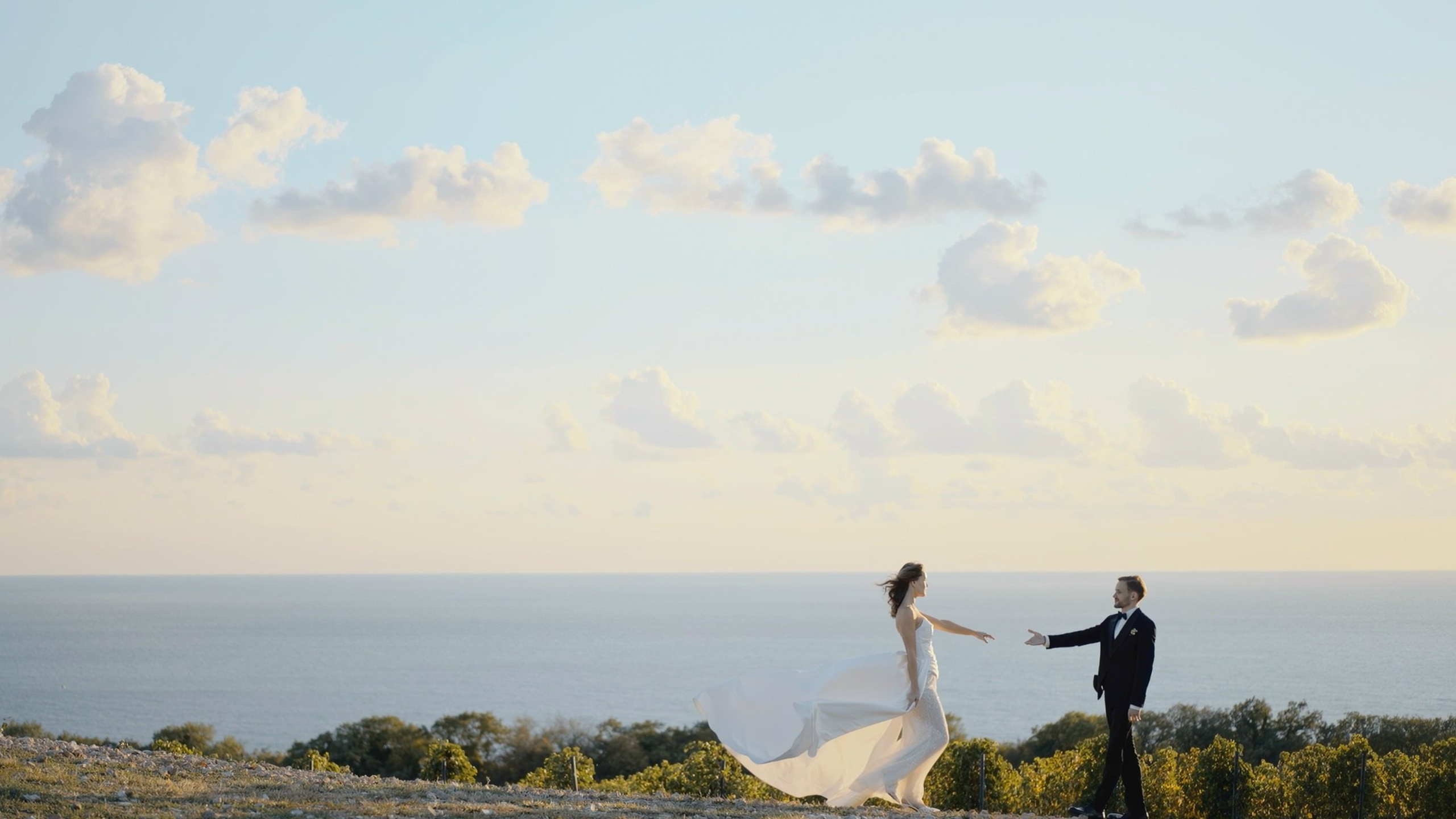 Wedding. Aurora_movie