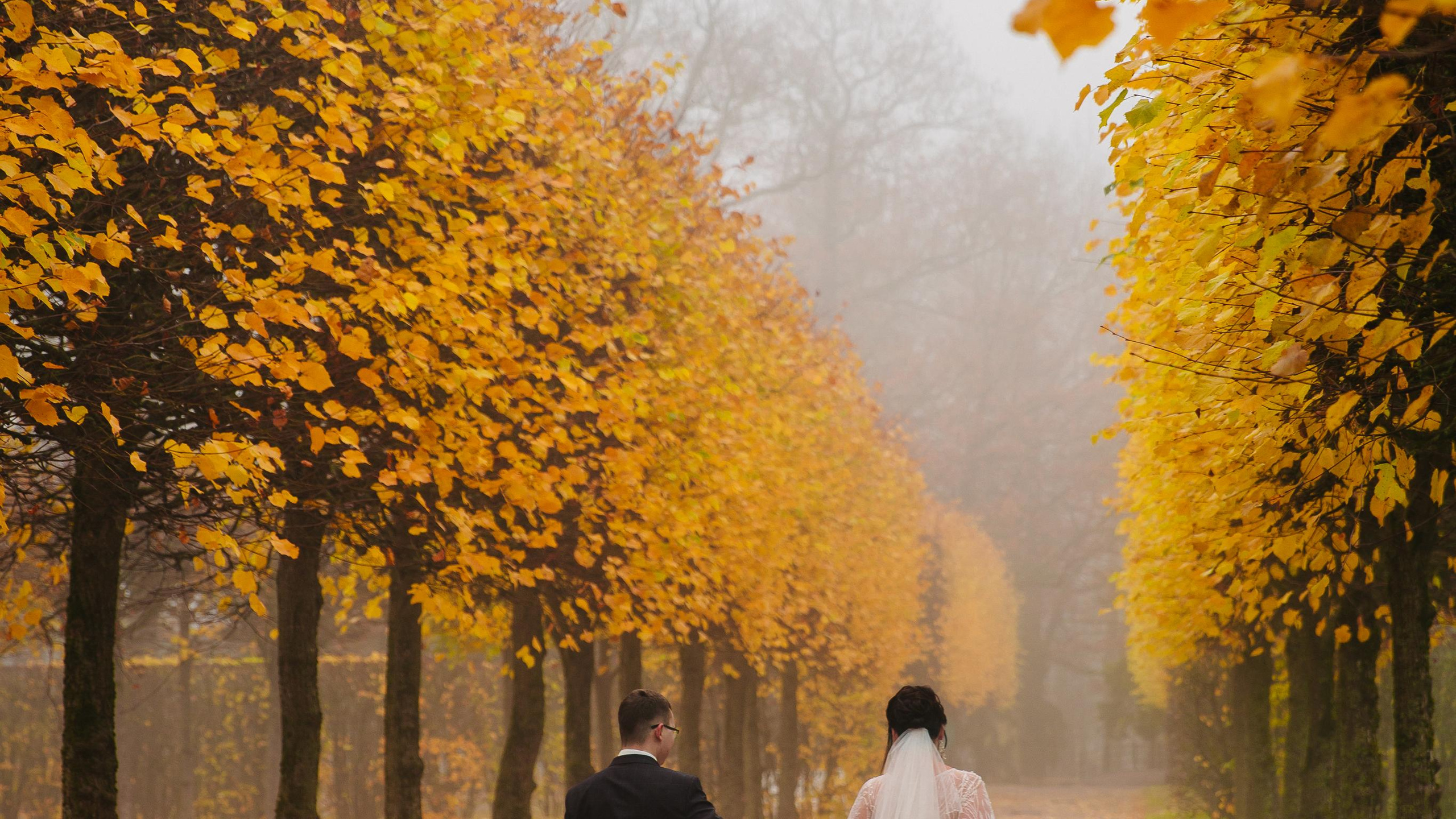 ДВОРЕЦ № 3 Пушкин| Октябрь, Екатерининский парк