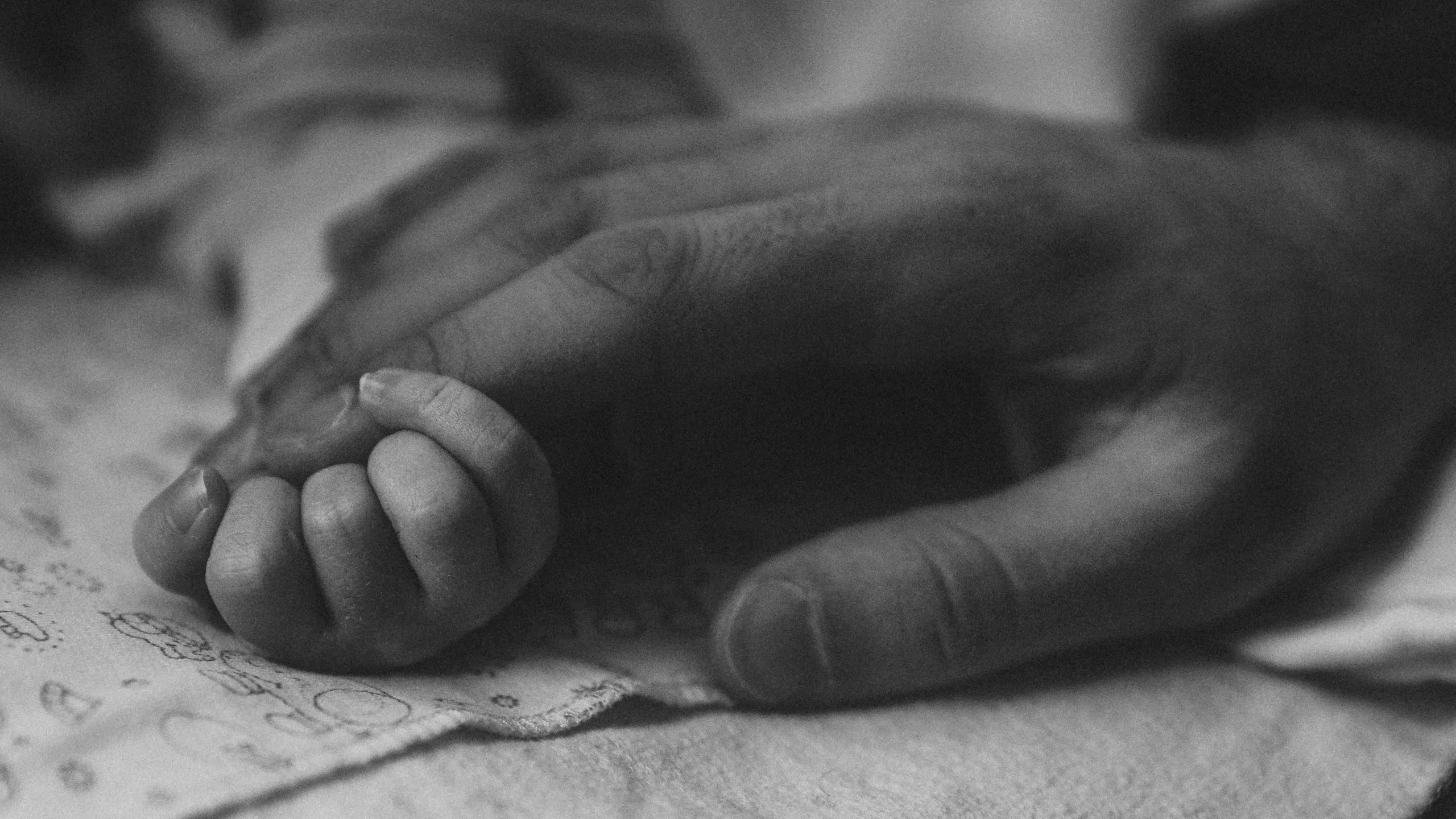 Видеосъёмка. Леся Гаранина. Семейный фотограф/видеограф Москва и область