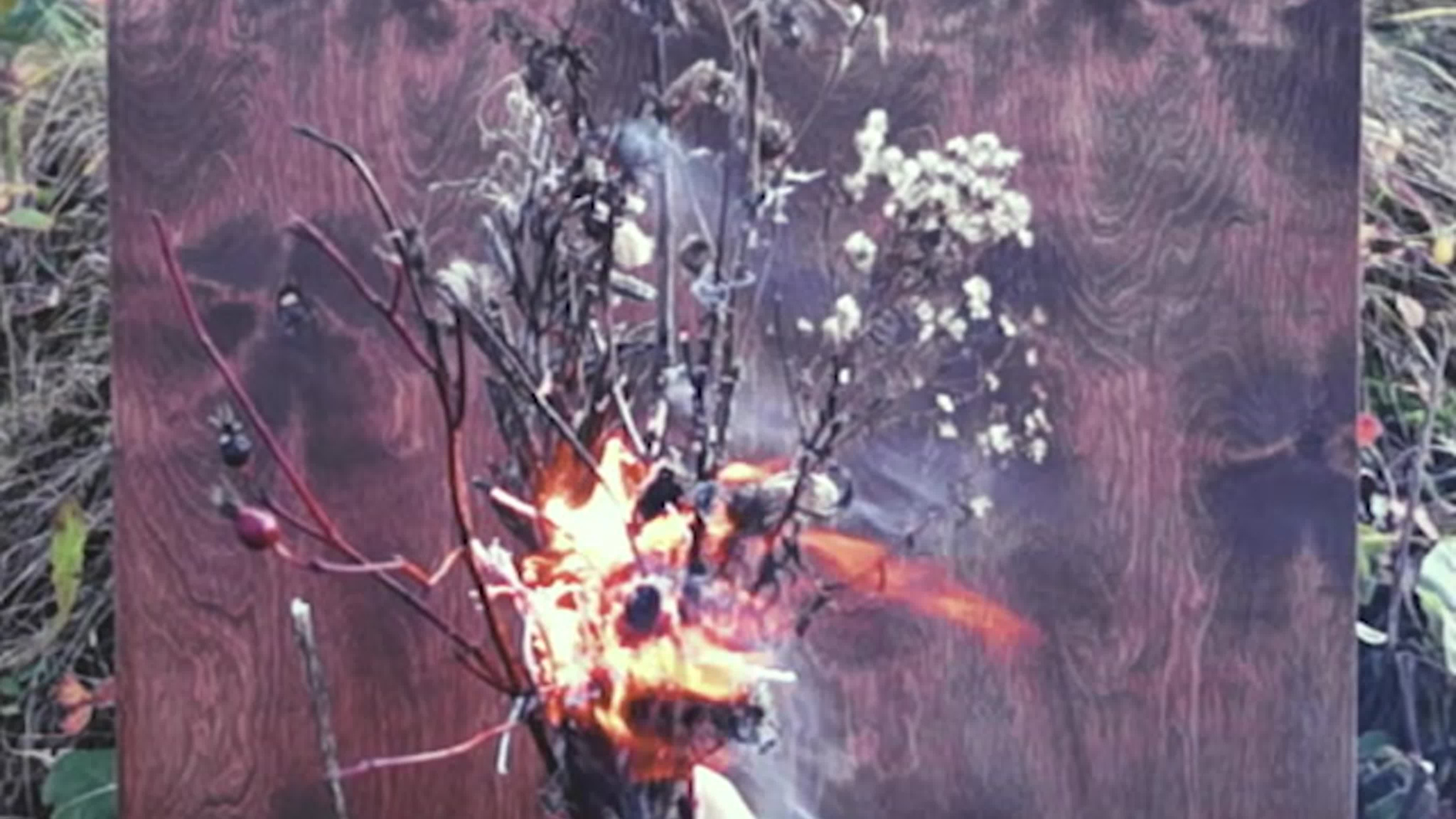 Душа с телом расставалася. Саша Гдетотам