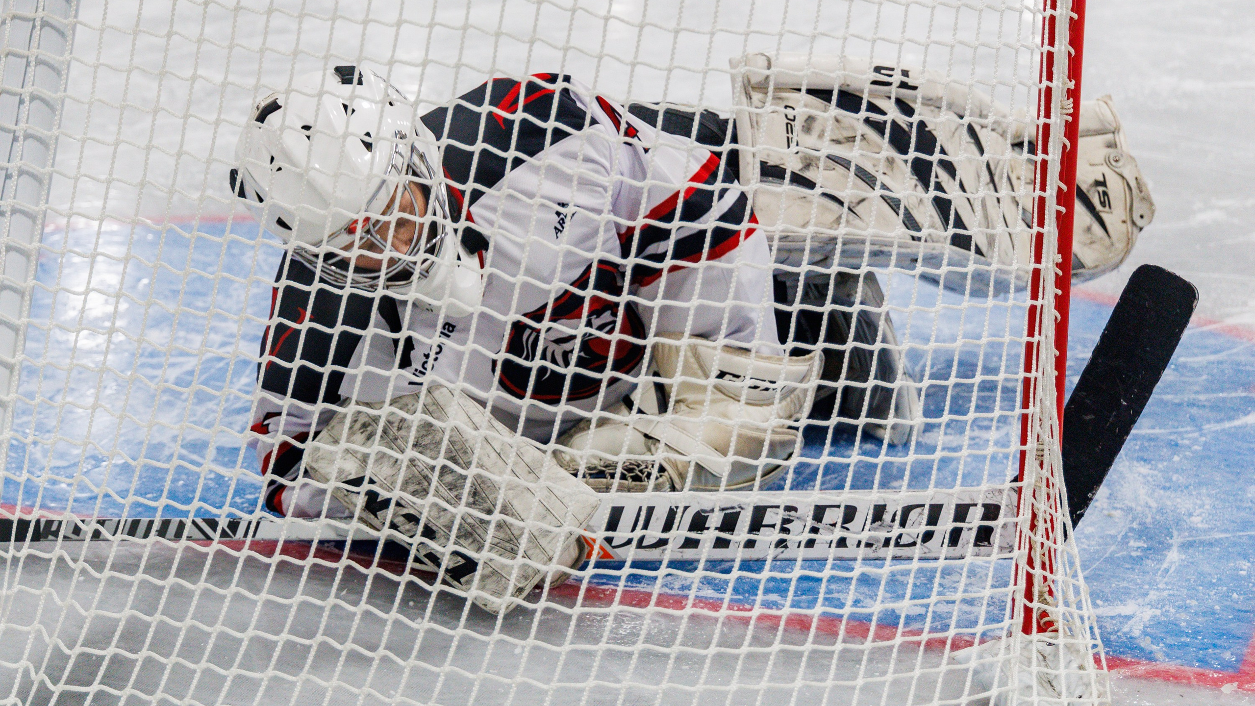 Кубок «Спорт против подворотни»