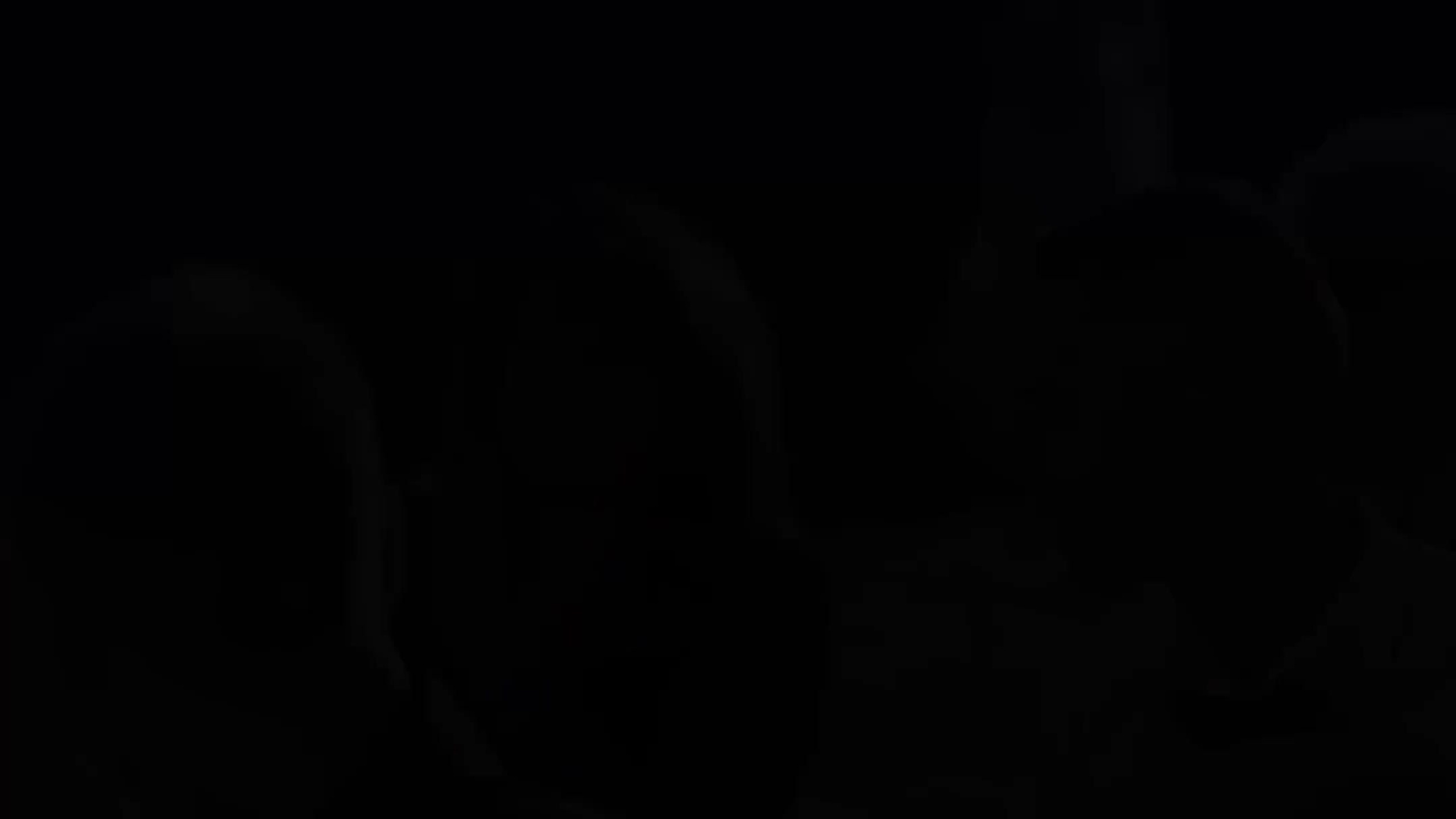 СВАДЕБНЫЕ РИЛСЫ. Фотограф, оператор и рилсмейкер в Москве — Ася Палагута