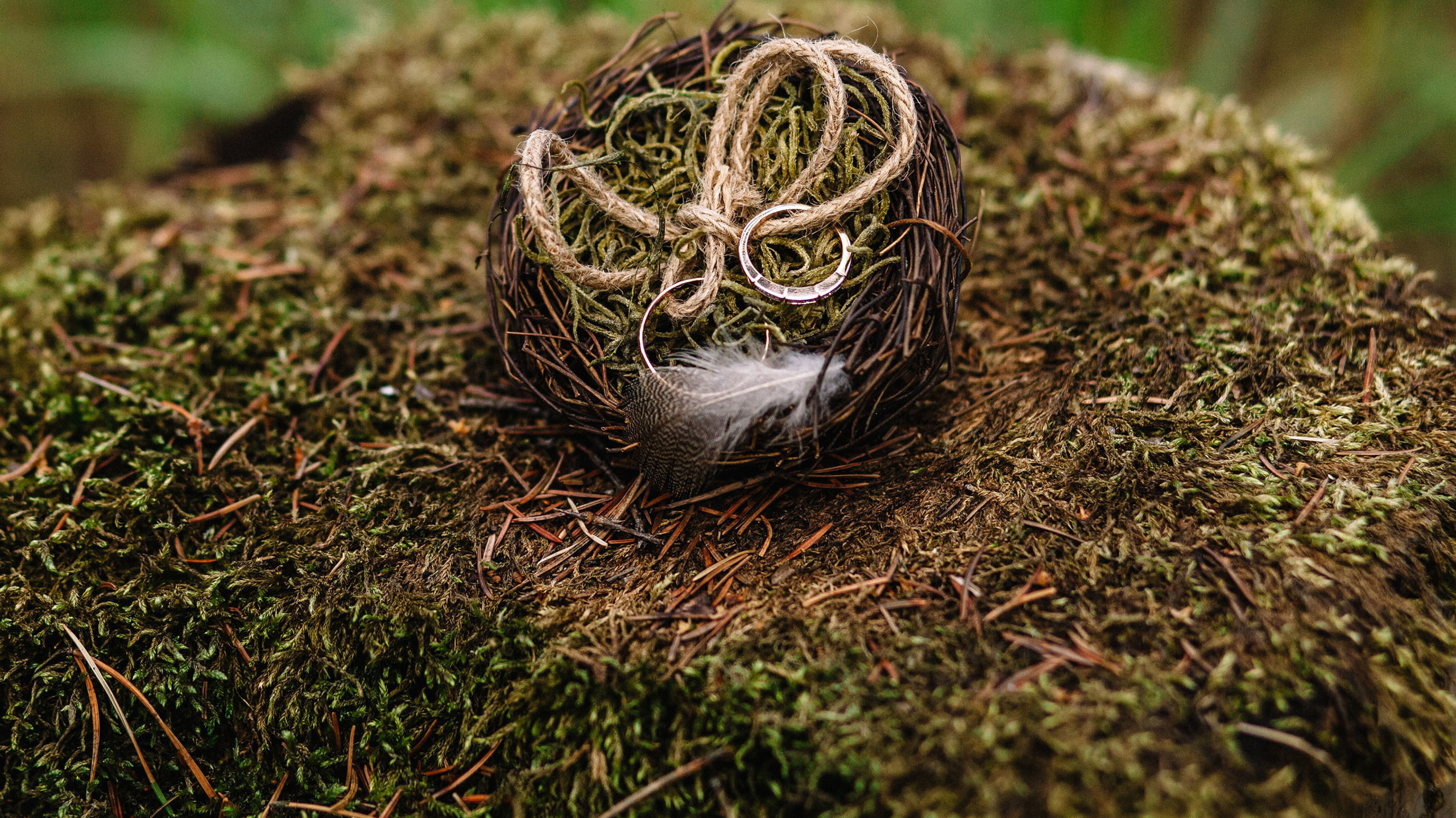 Настя + Саша