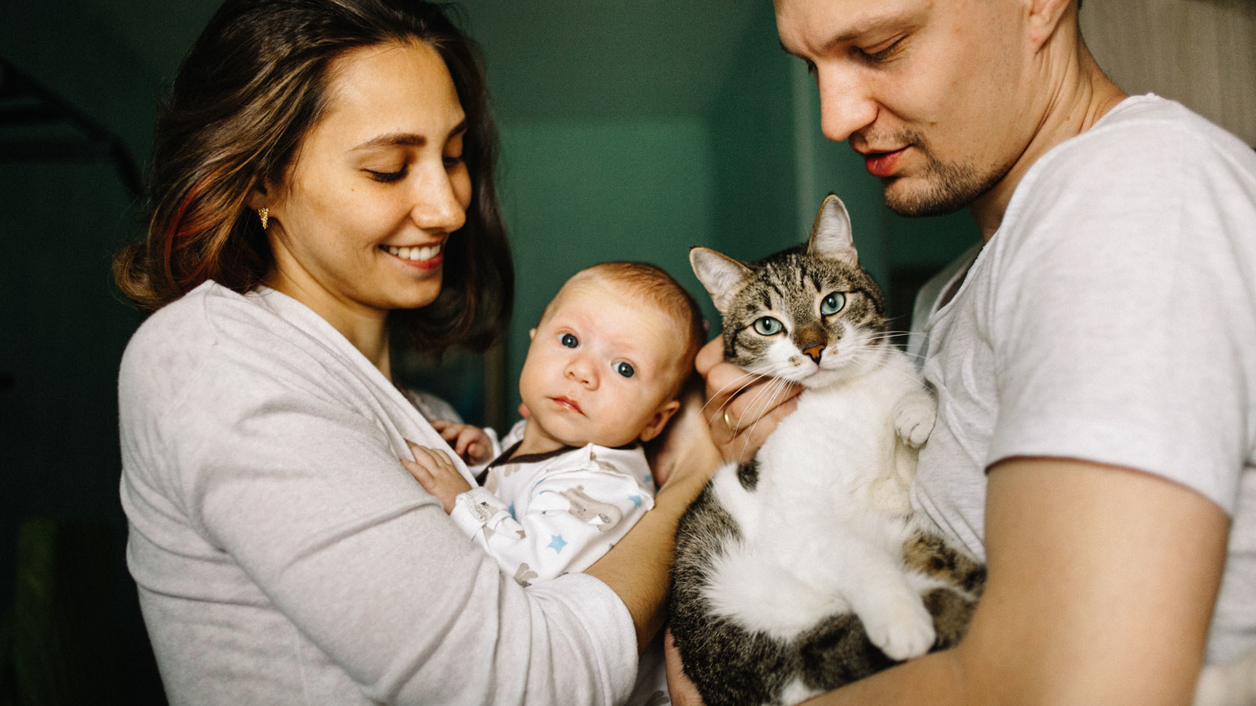 Дома тепло и Котенька