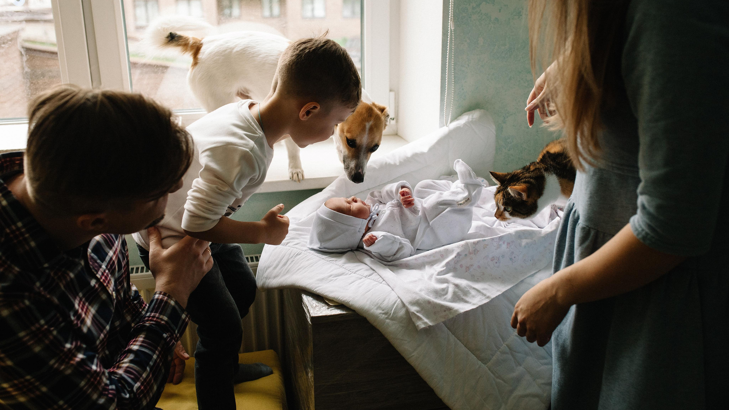 Выписка из род дома