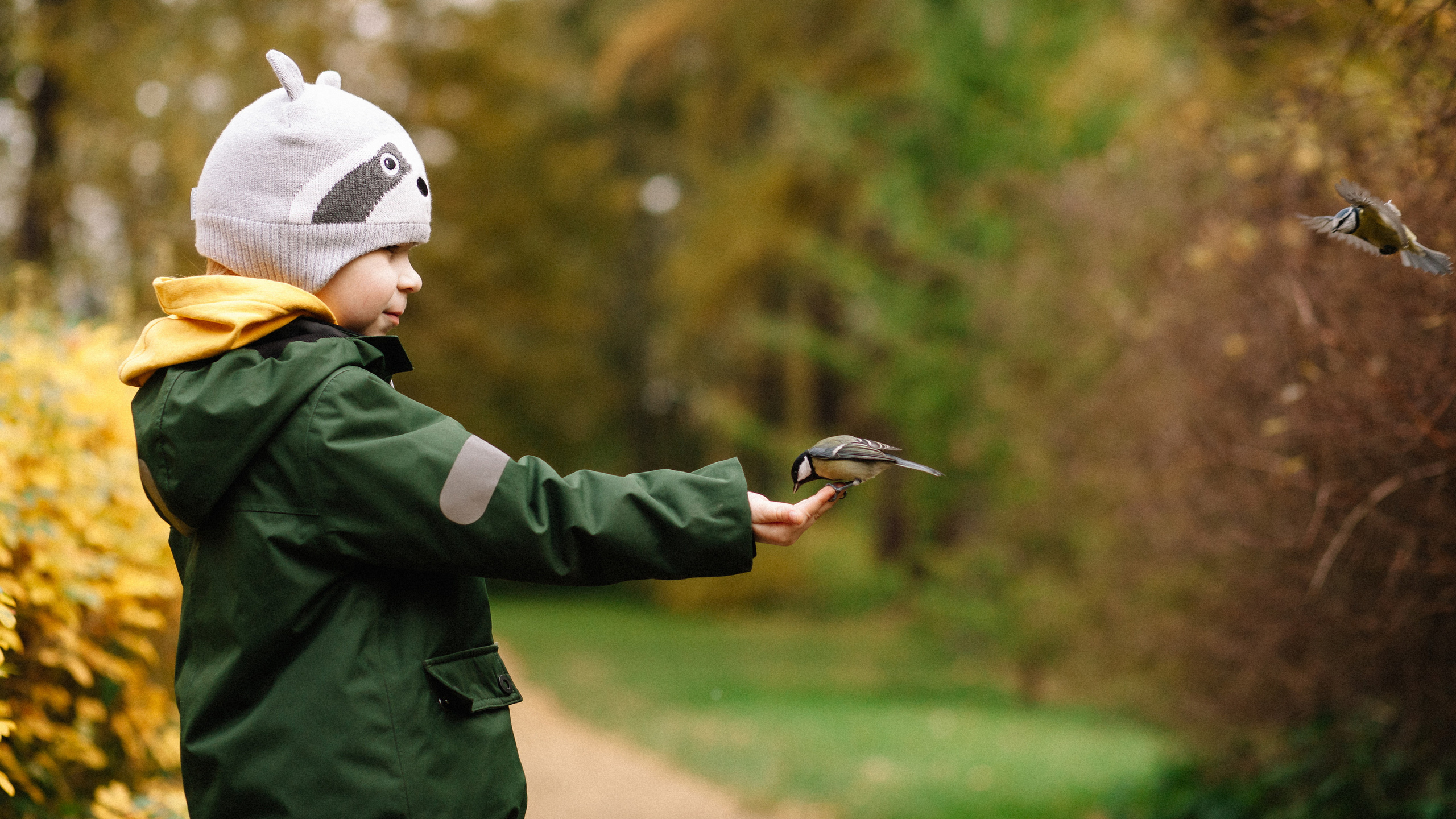 Синица в руках