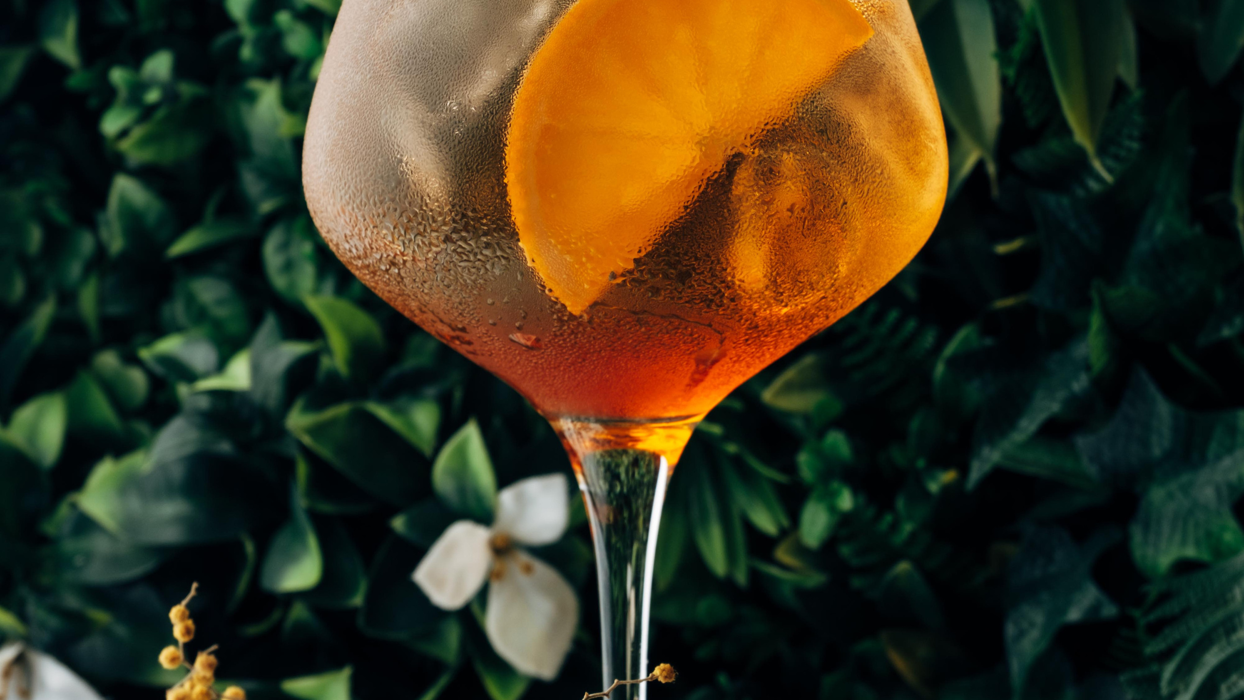 Фуд фотография