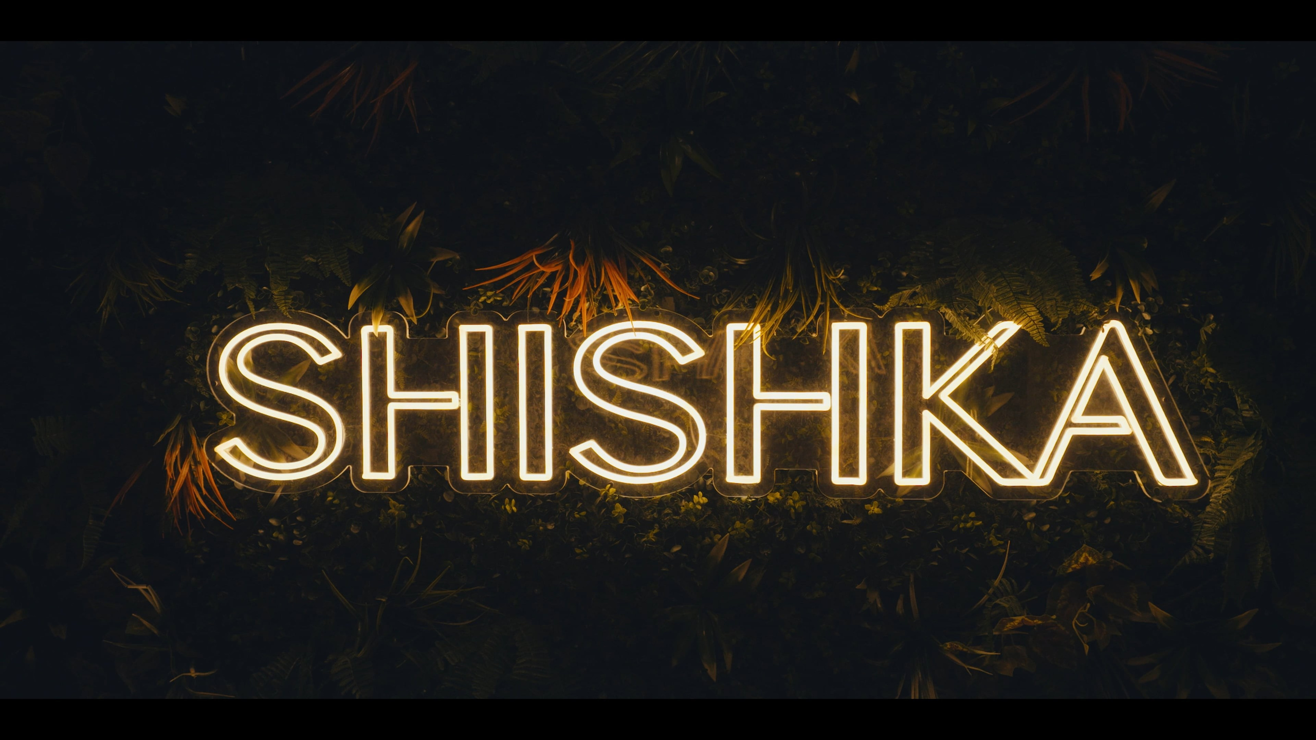 Commercial. Портфолио