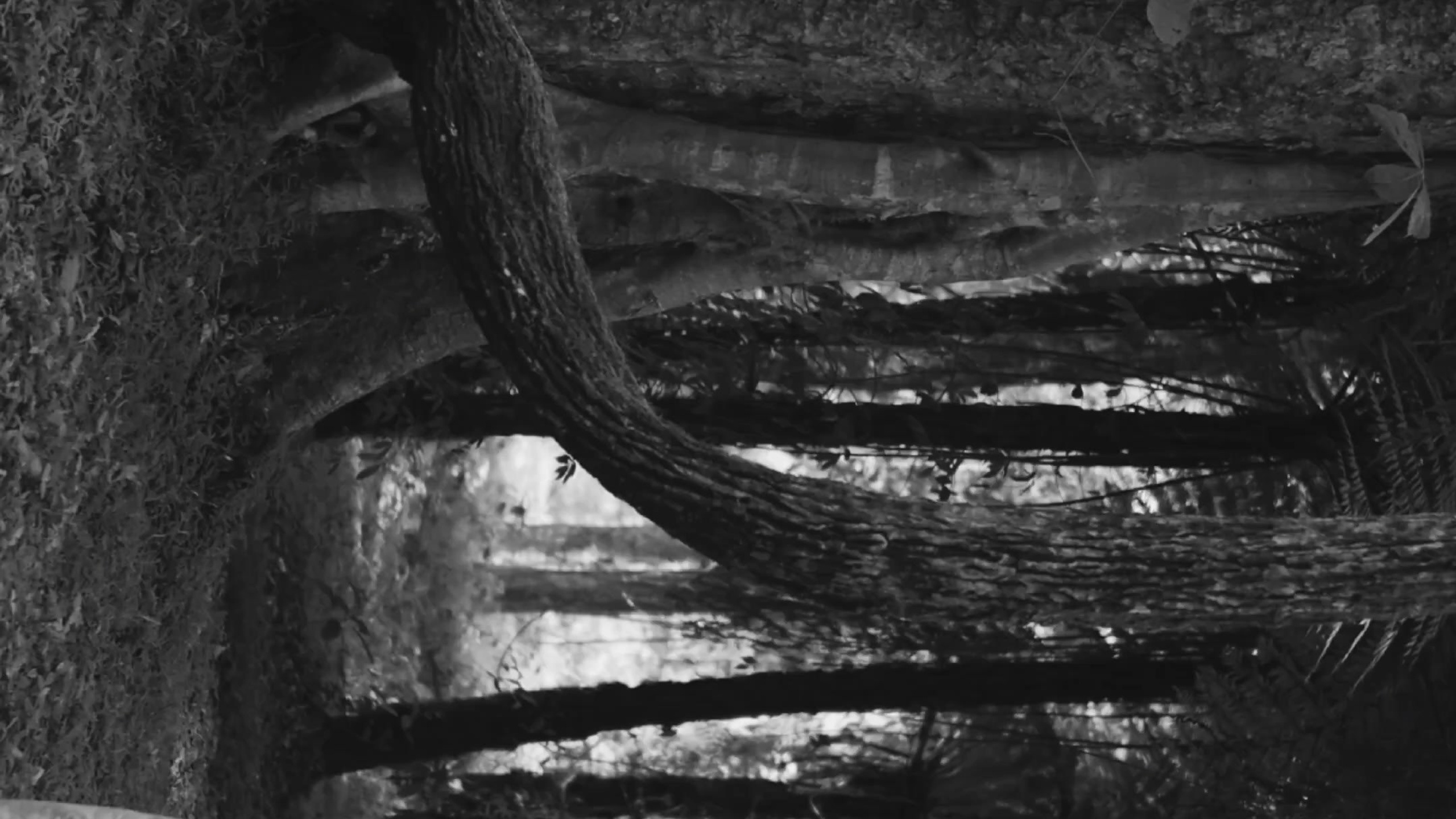 Видео. PULAU LANA | photo | video | content