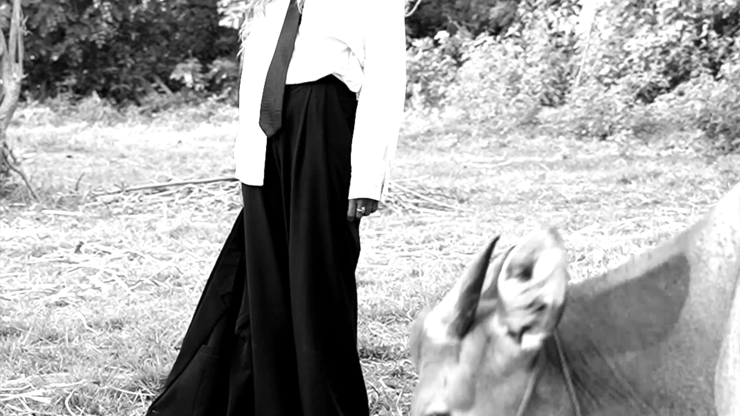 Видео. PULAU LANA | photo | video | content