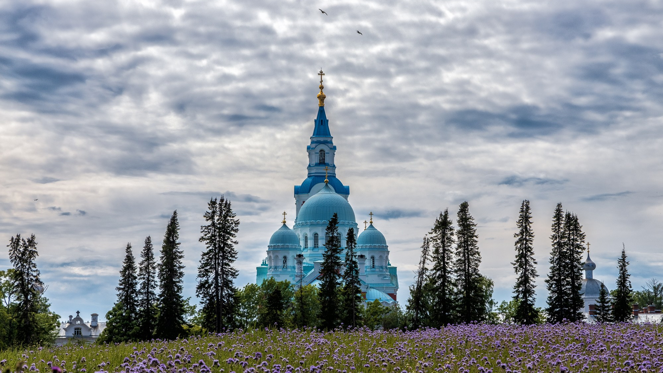 Лето в Карелии. Тревел фотографии Игоря Критского