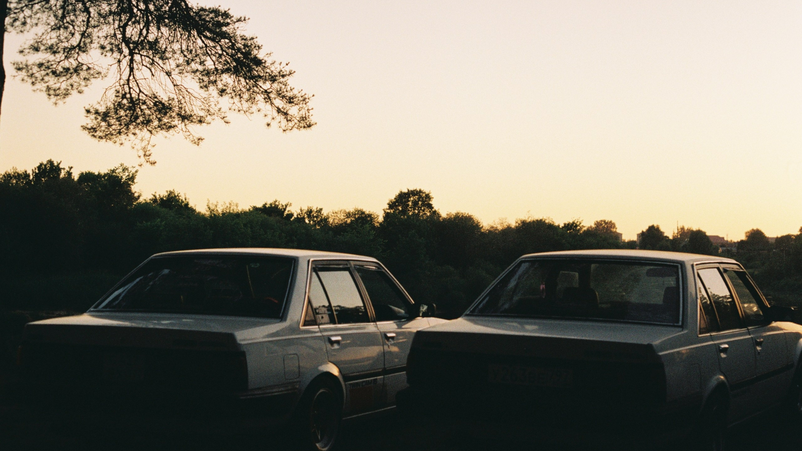 Rotten Rice Meet 2022 / 1