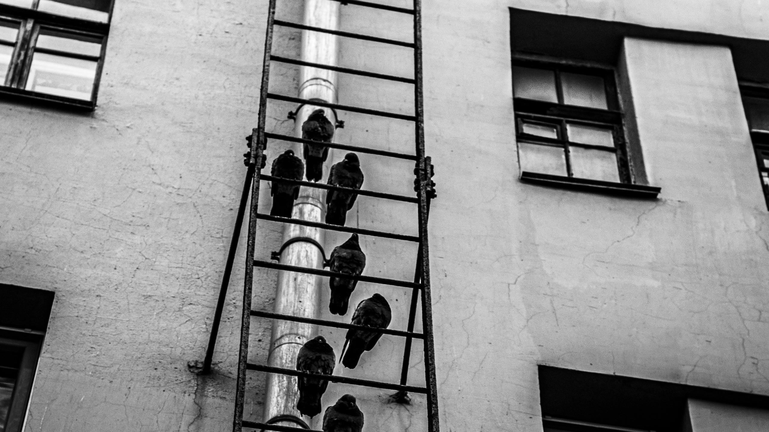 Городские скицы