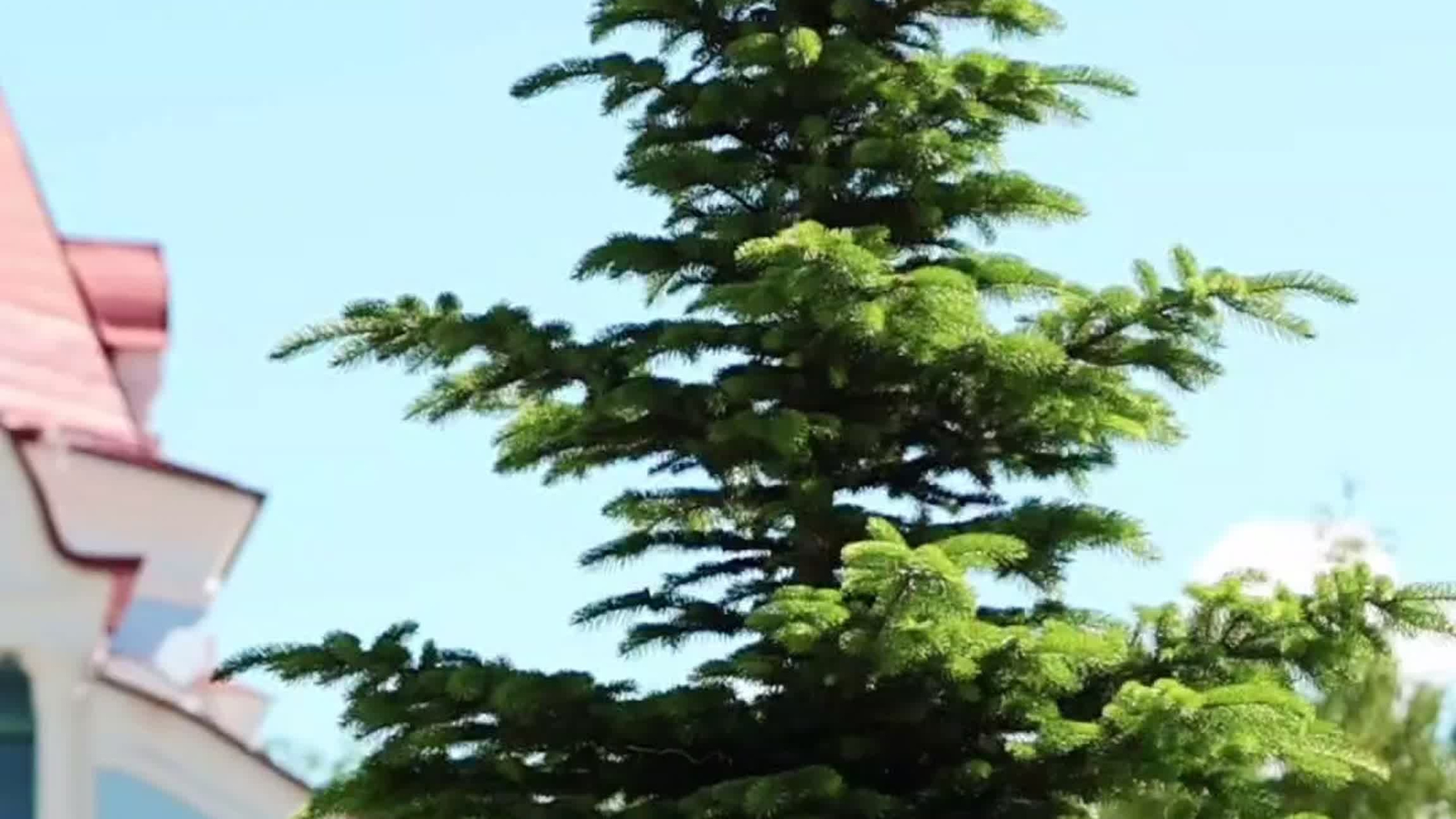 Видео портфолио. Фотограф крещения венчания Чебоксары, Чувашия Татьяна Иванова