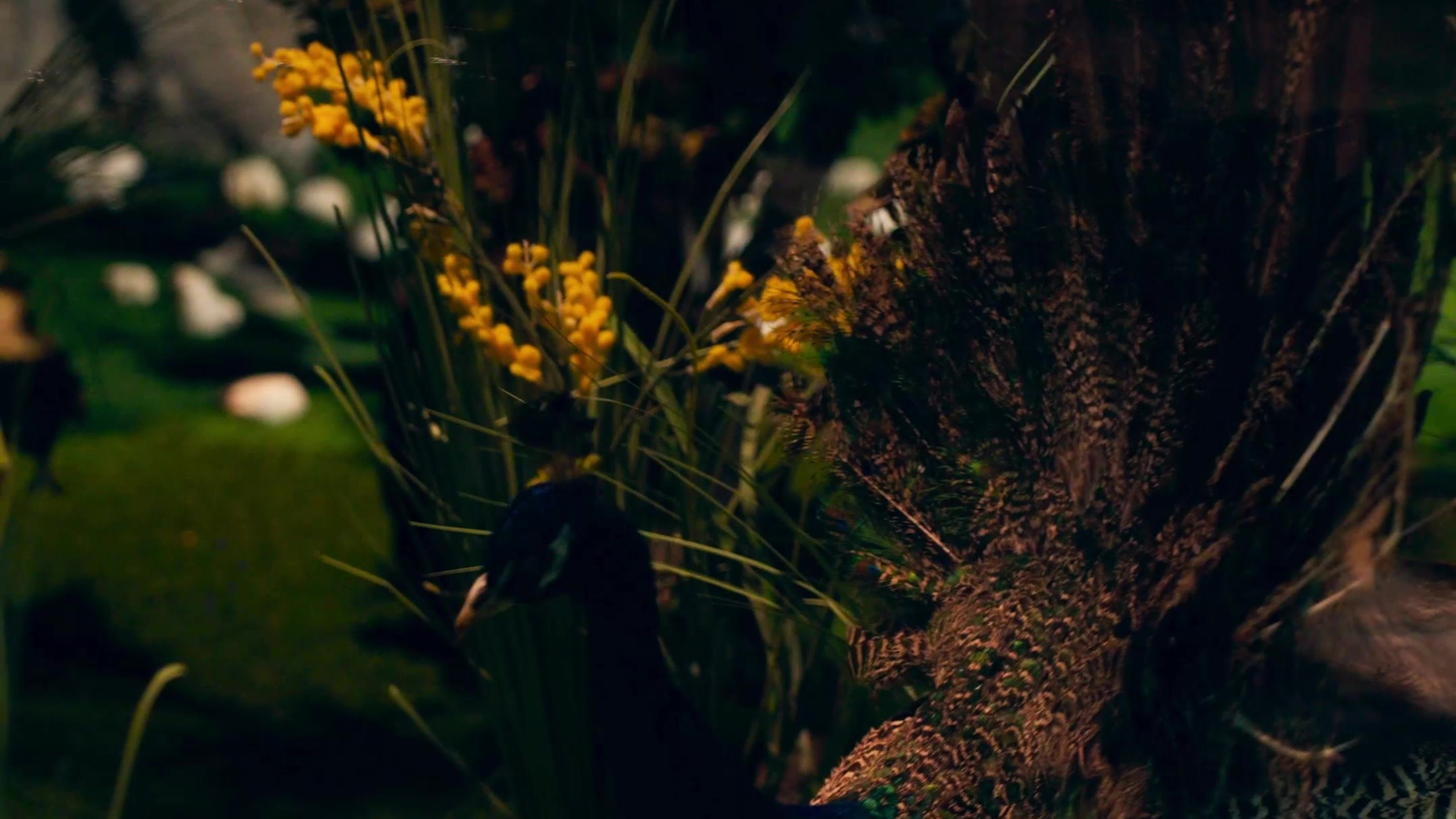 Reels. Фотограф и видеограф в Москве Павел Петровский