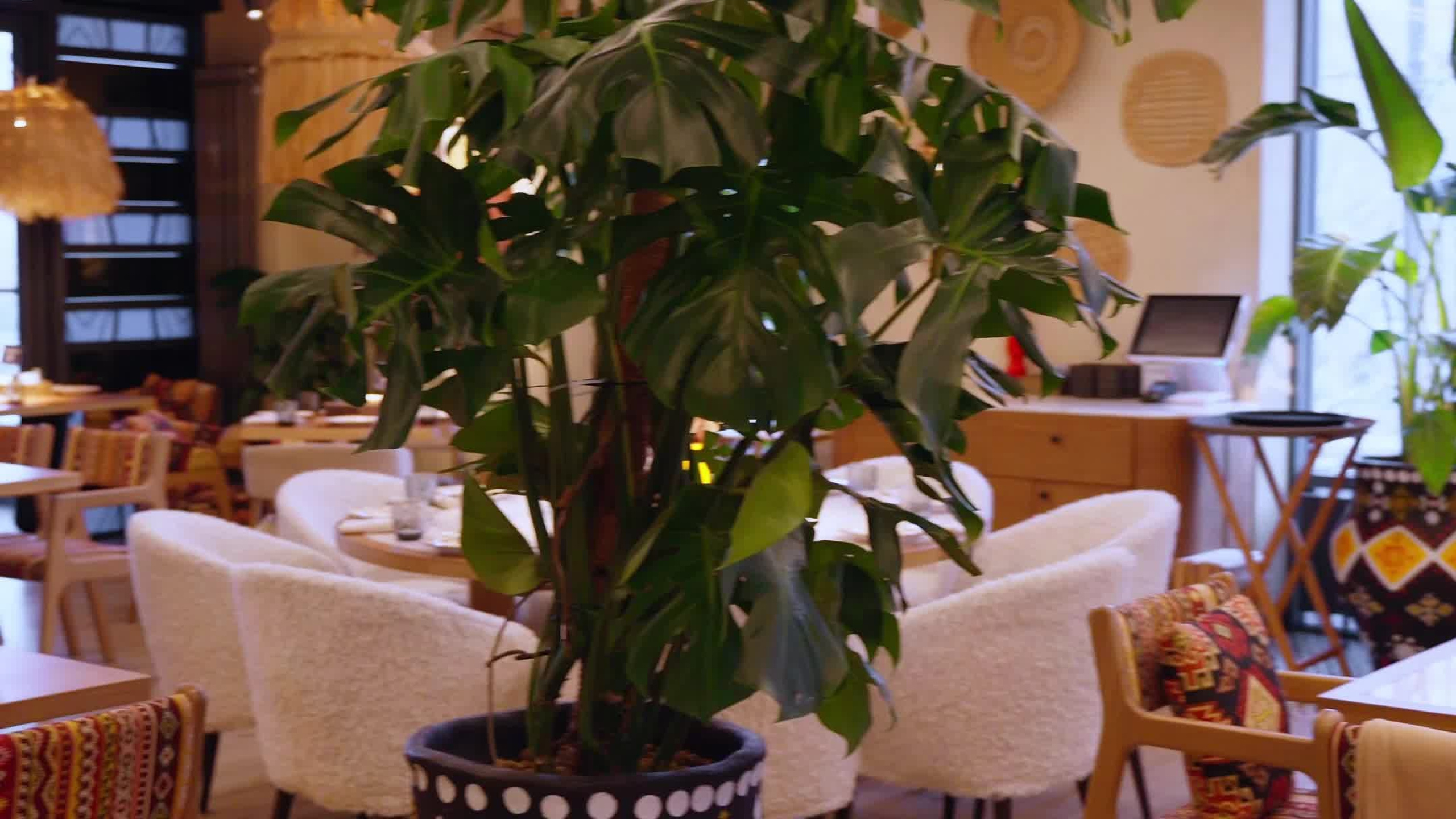 Reels. Фотограф и видеограф в Москве Павел Петровский