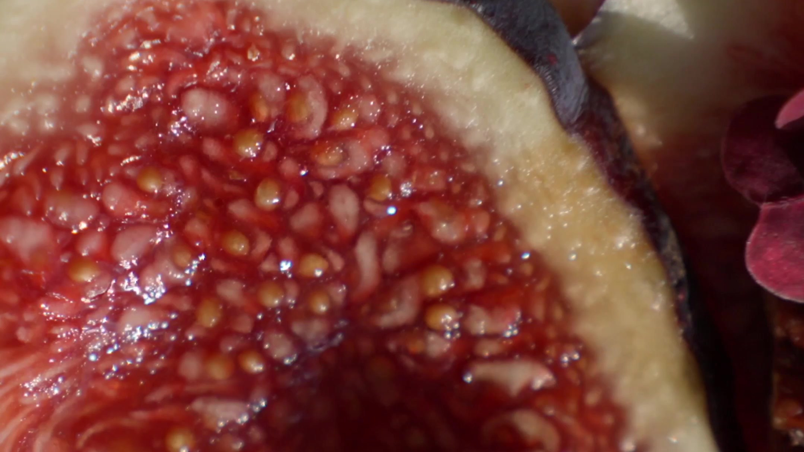 Reels. Фотограф и видеограф в Москве Павел Петровский