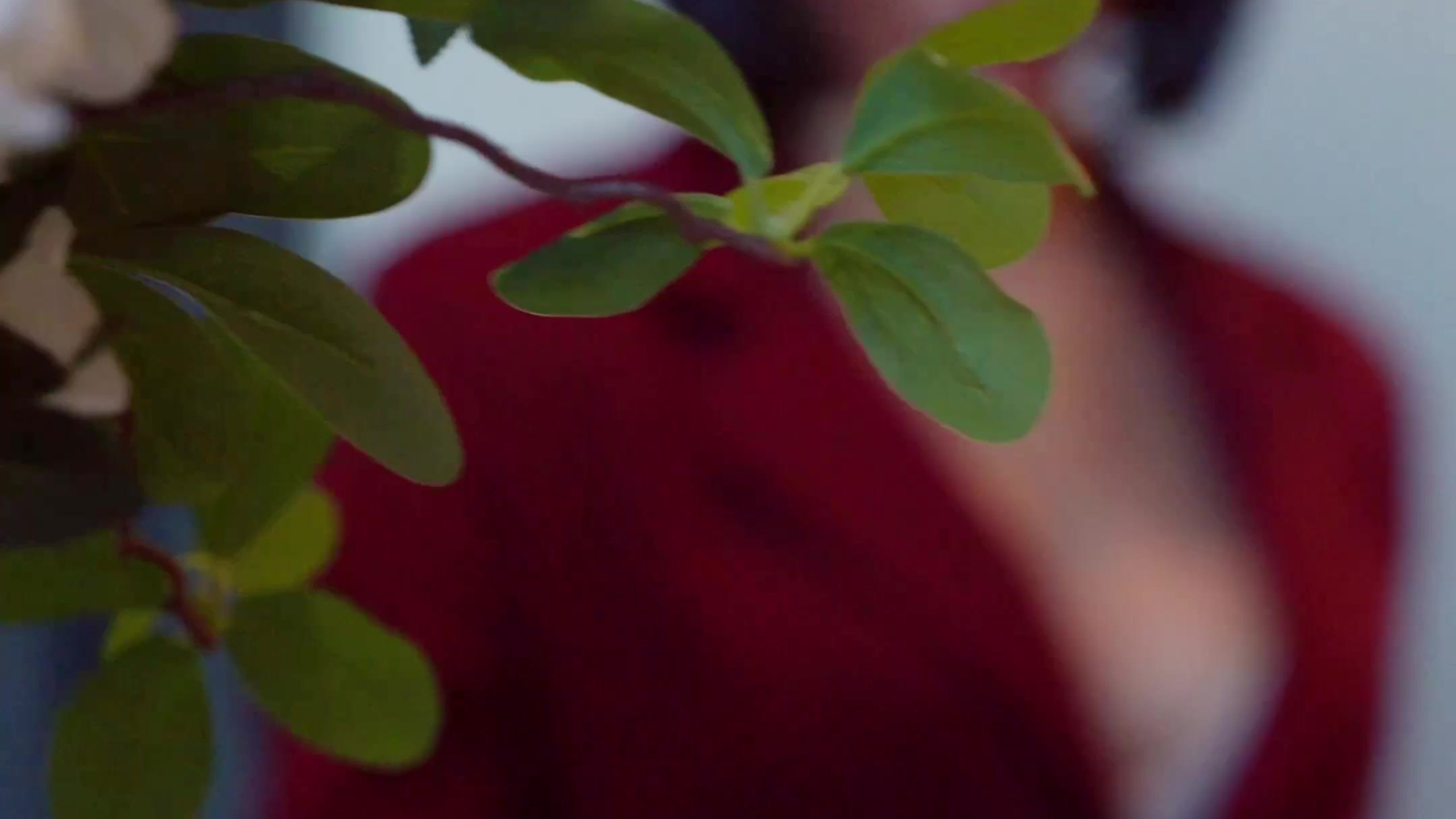 Reels. Фотограф и видеограф в Москве Павел Петровский