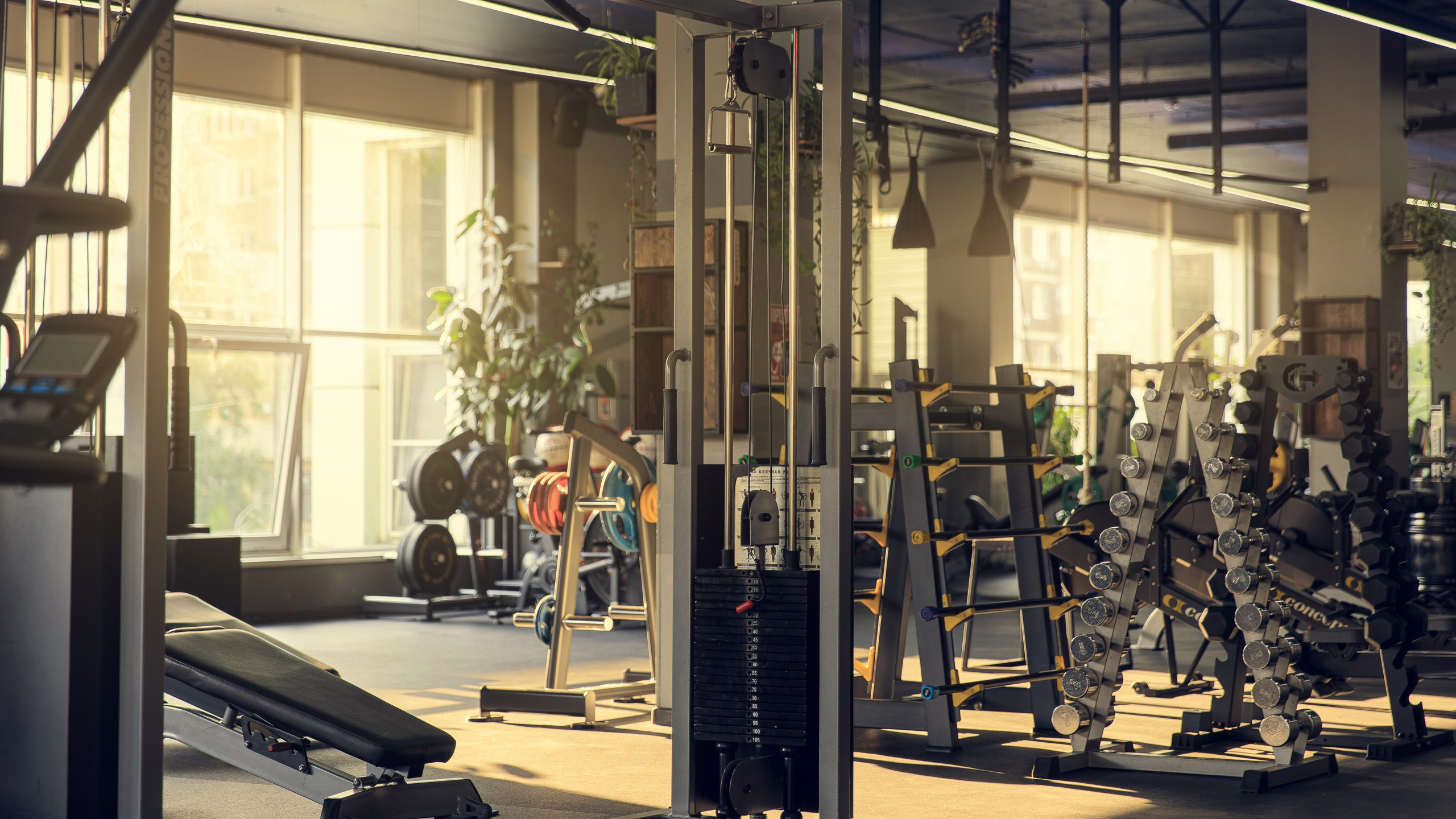 Sunfit Gym