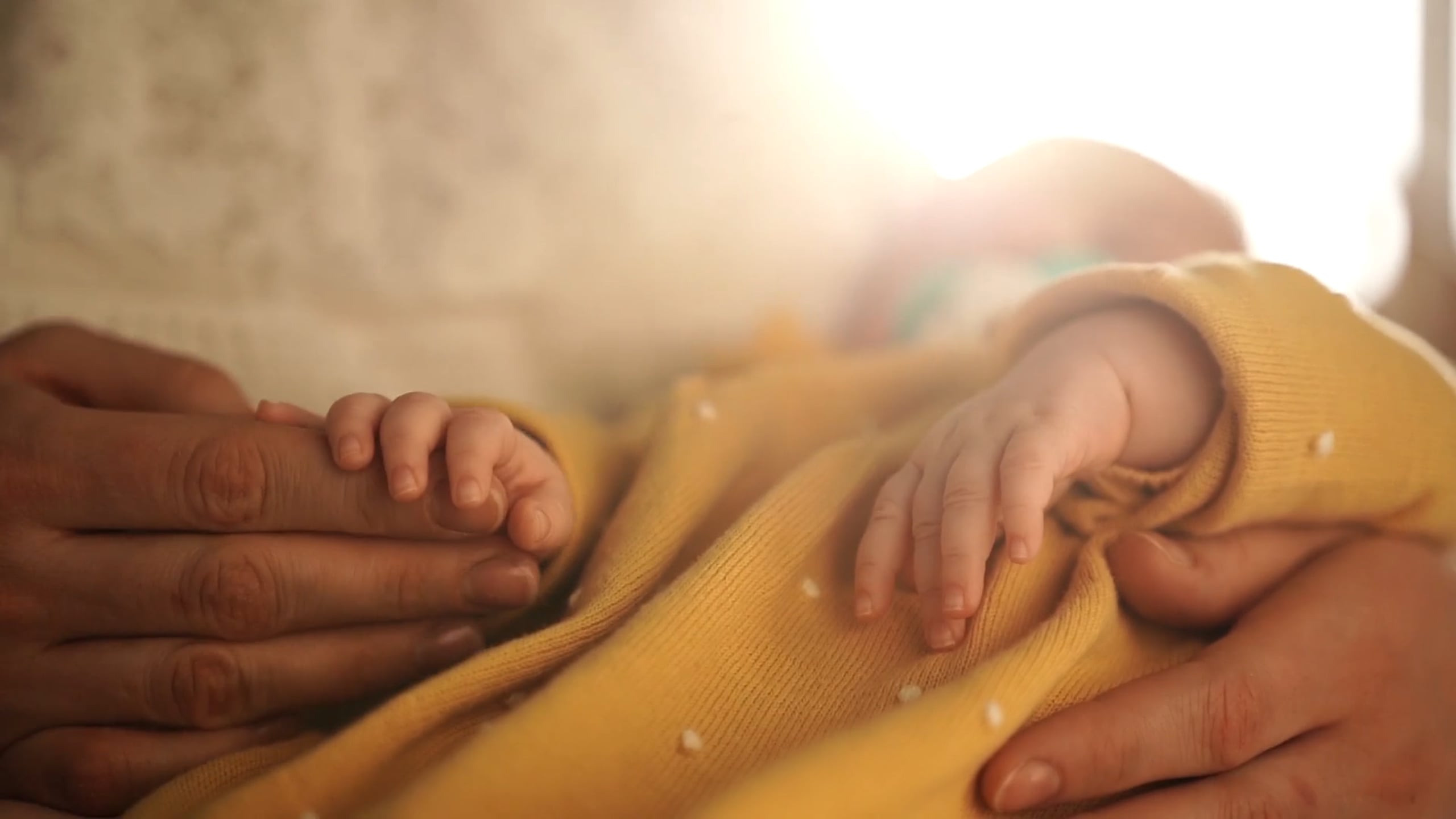 Клубника в шоколаде. Ася Краснова