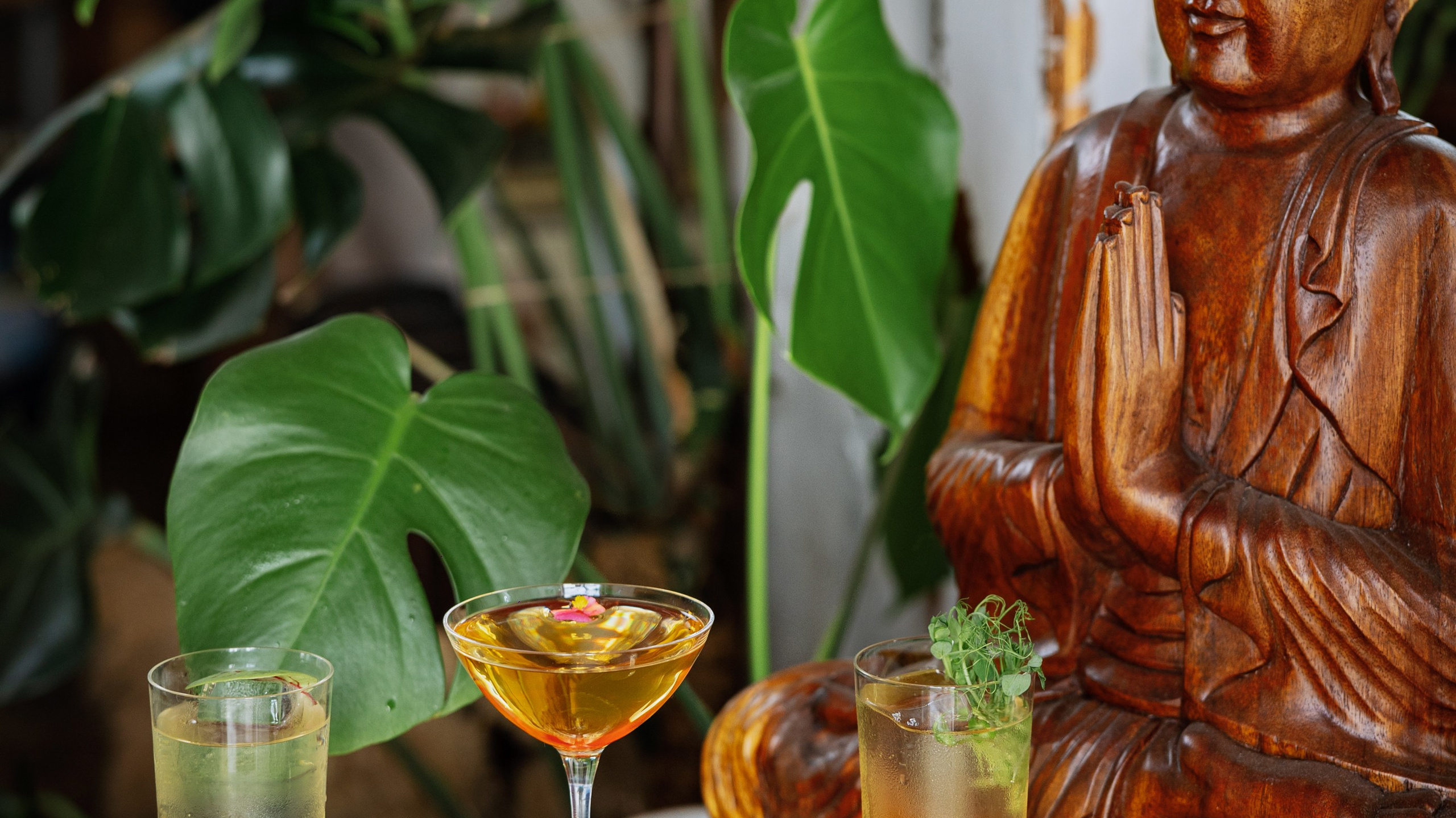 «Шалом & Шанти»