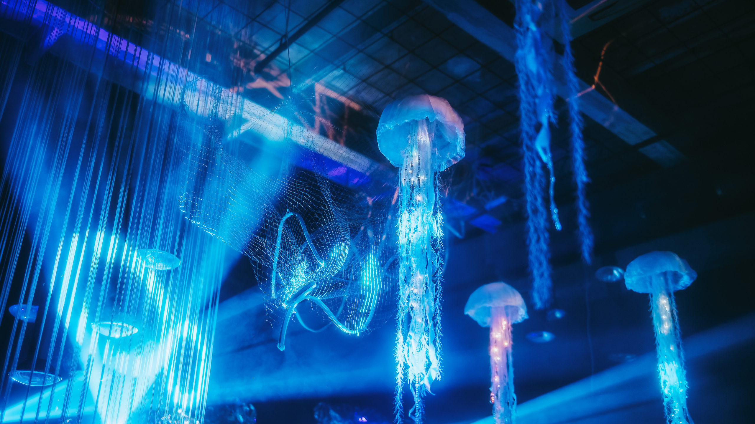 MANTRA — Dibidabo