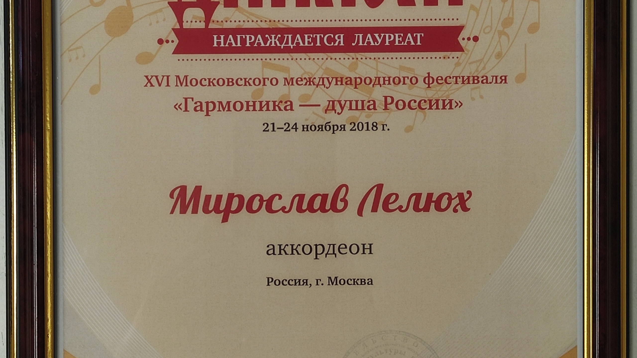 Достижения. Аккордеонист Мирослав Лелюх