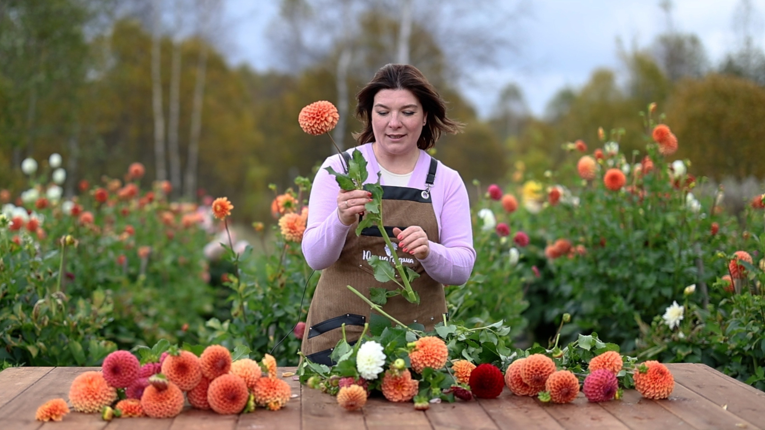 Рекламное видео. Фотограф и Видеограф