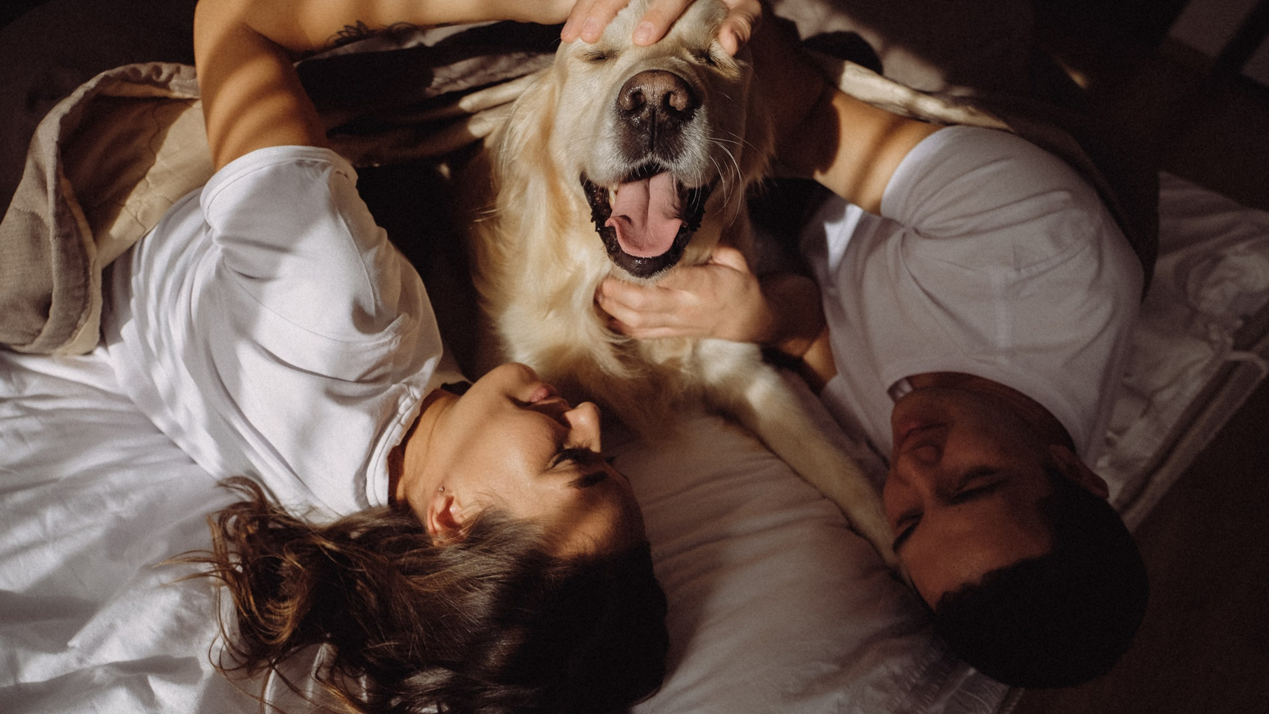 Макс, Марина и Найджел