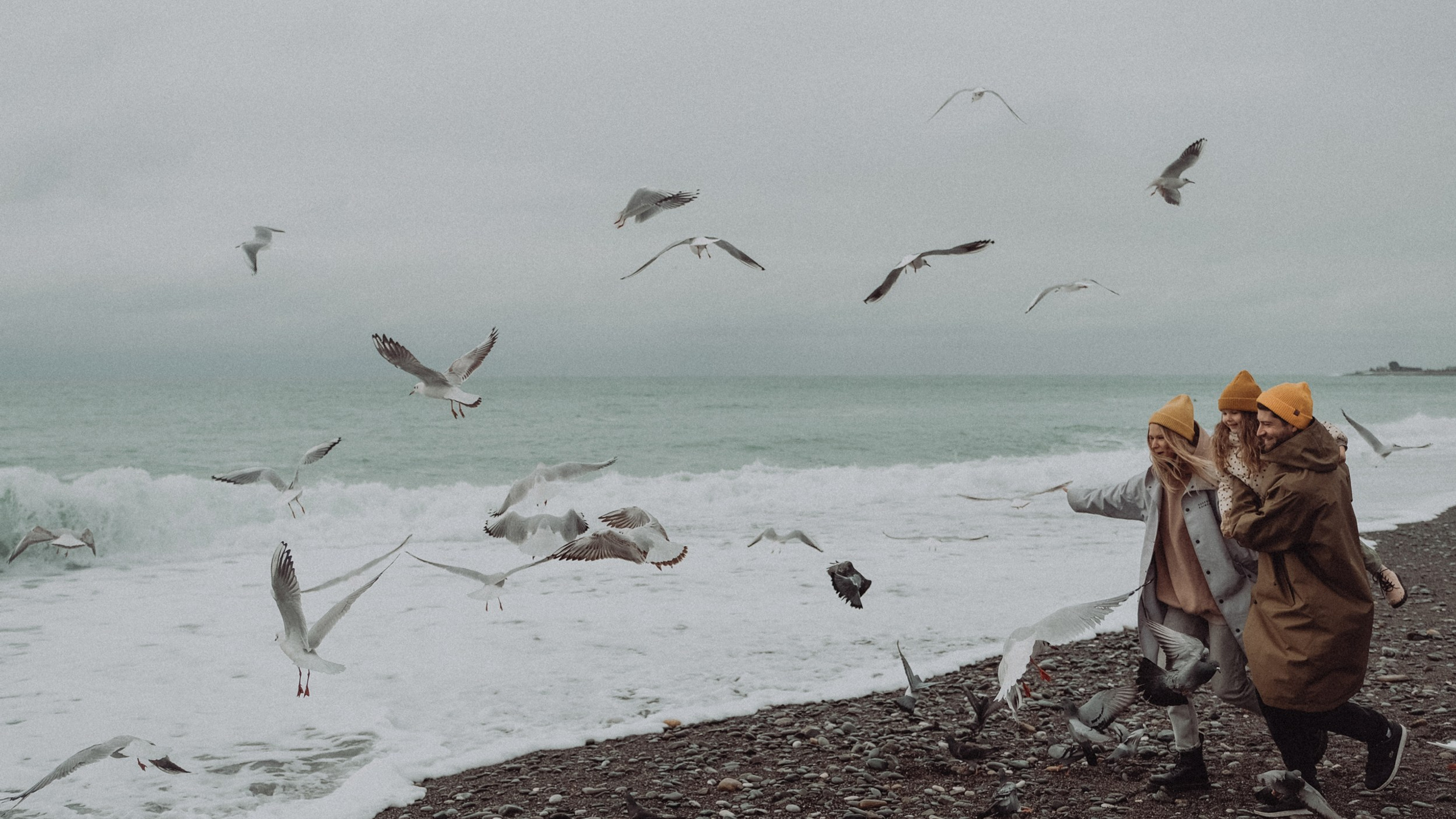 Семья Алисы