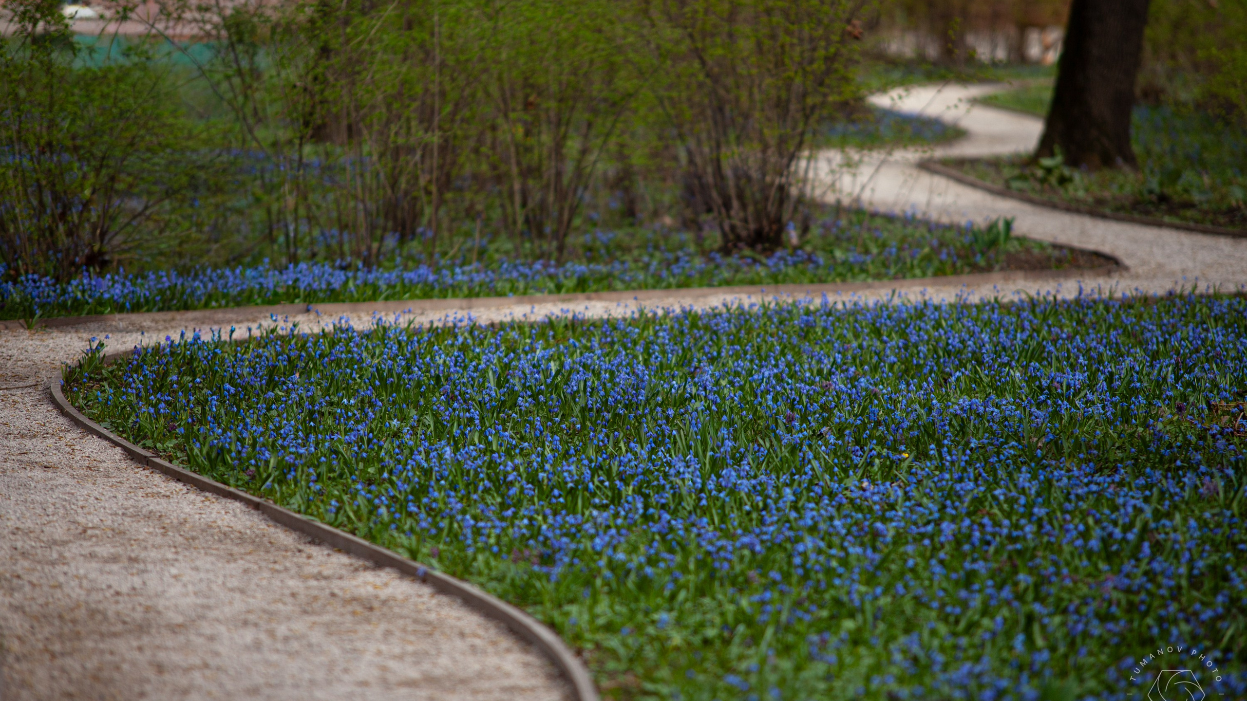 Усадьба Л. Н. Толстого в Хамовниках.