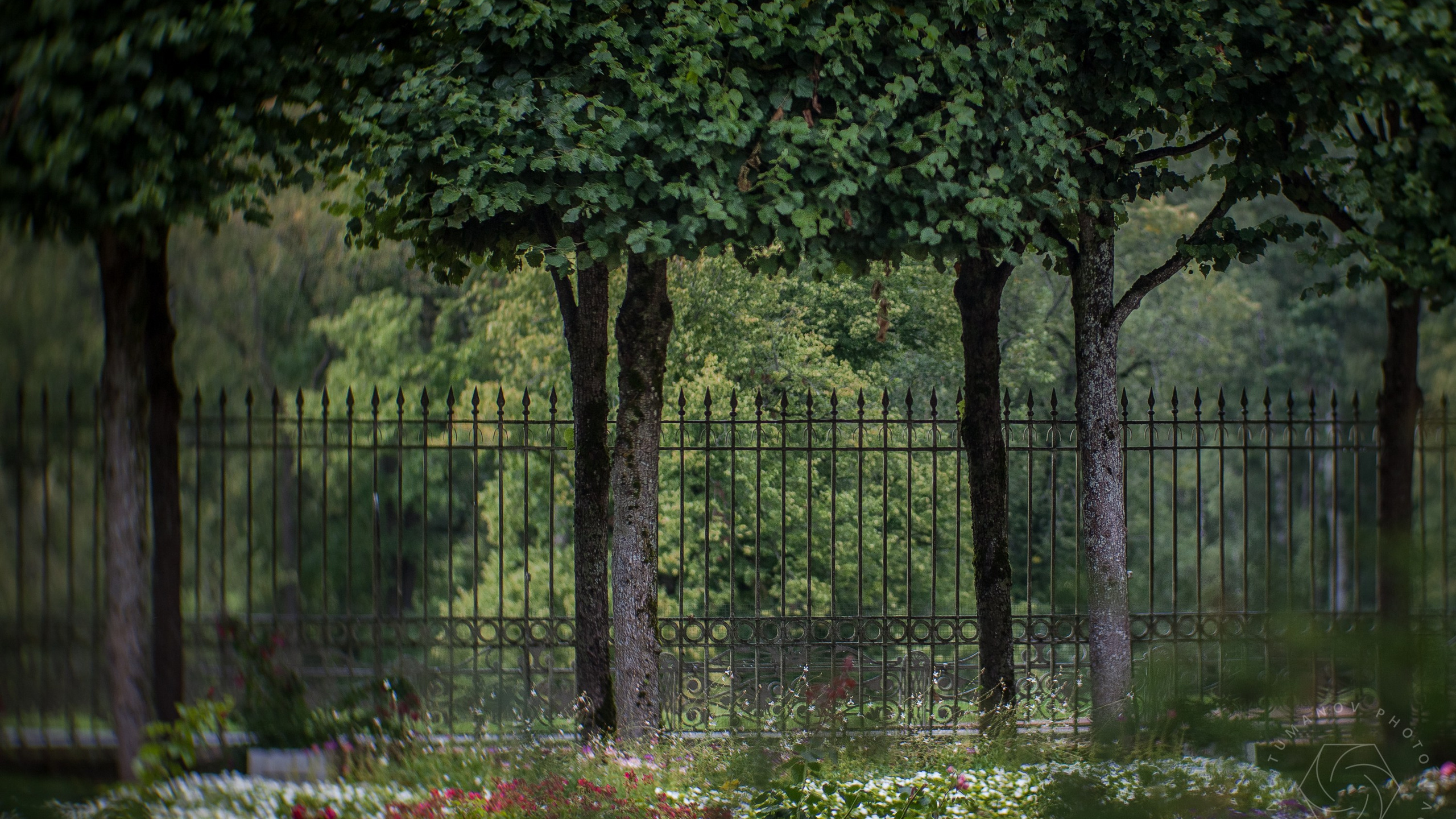 Павловск — изумительное место!