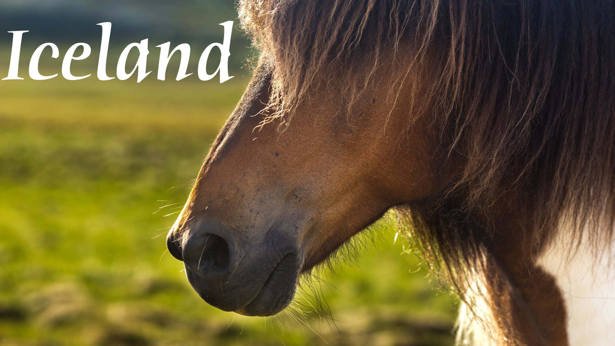 Фотограф в Москве - Гуров Олег. Съемка видео, time lapse. Фотограф в Москве - Олег Гуров