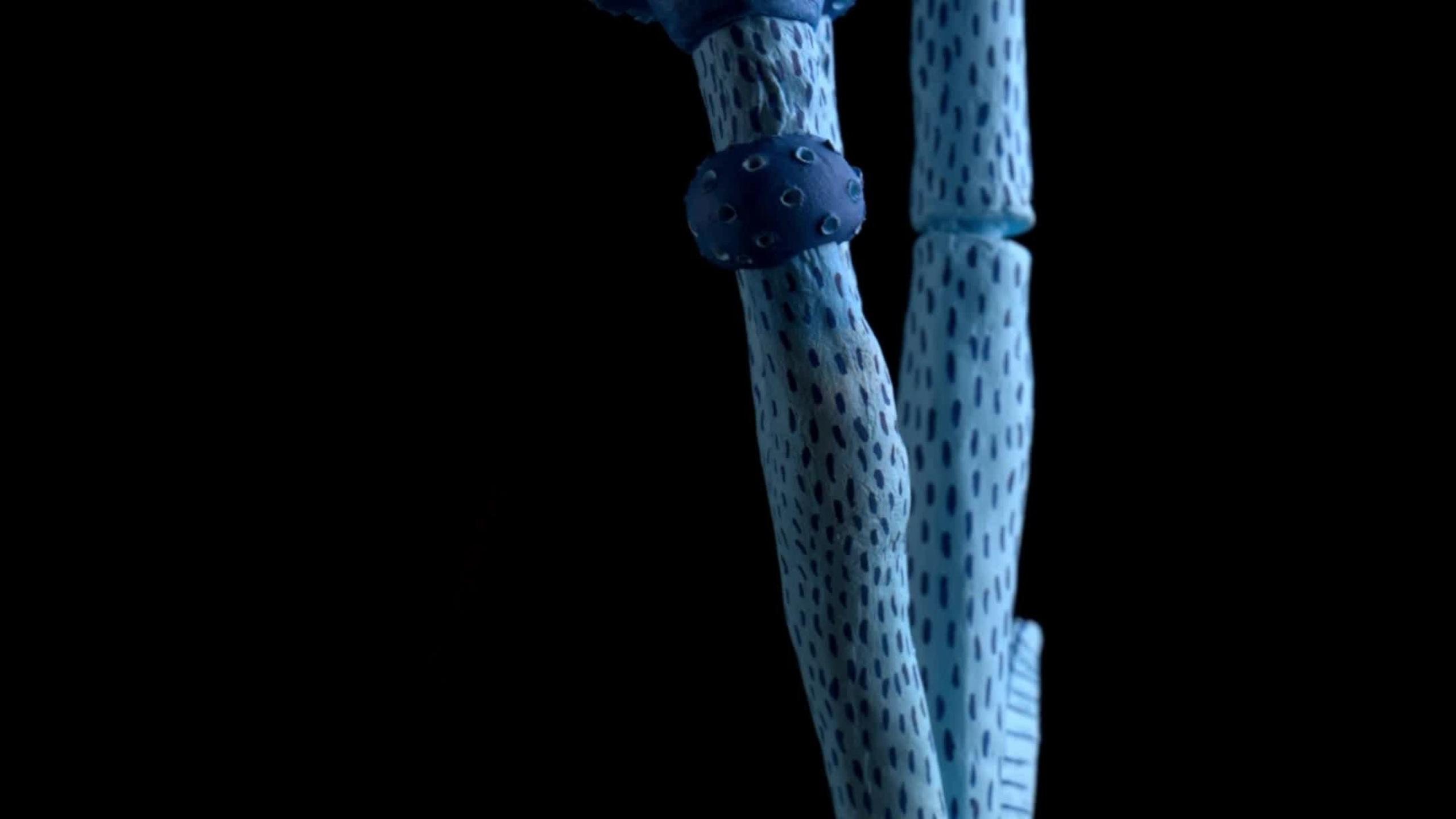 Videos. Portrait, Travel, Commercial Photographer