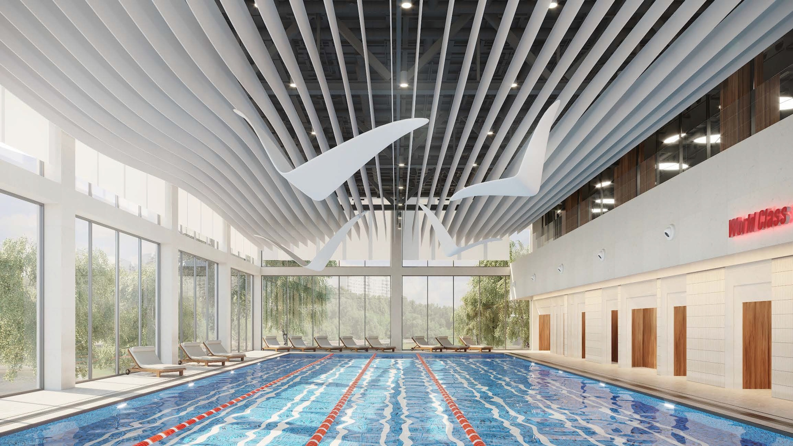 Videos. Portrait, Travel, Commercial Photographer