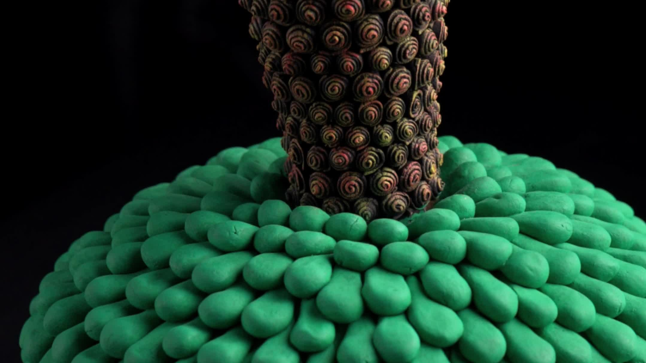 Videos. Portrait, Travel, Commercial Photographer