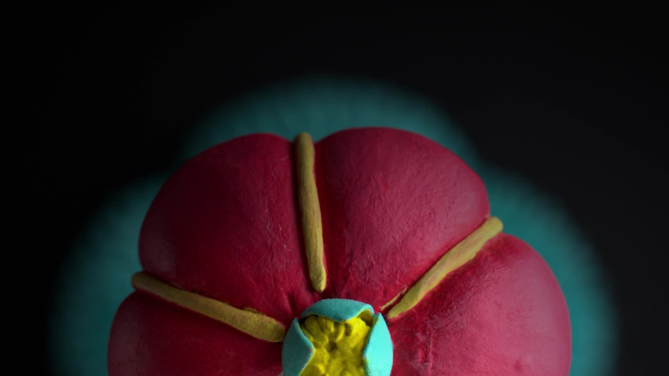 Videos. Portrait, Travel, Commercial Photographer